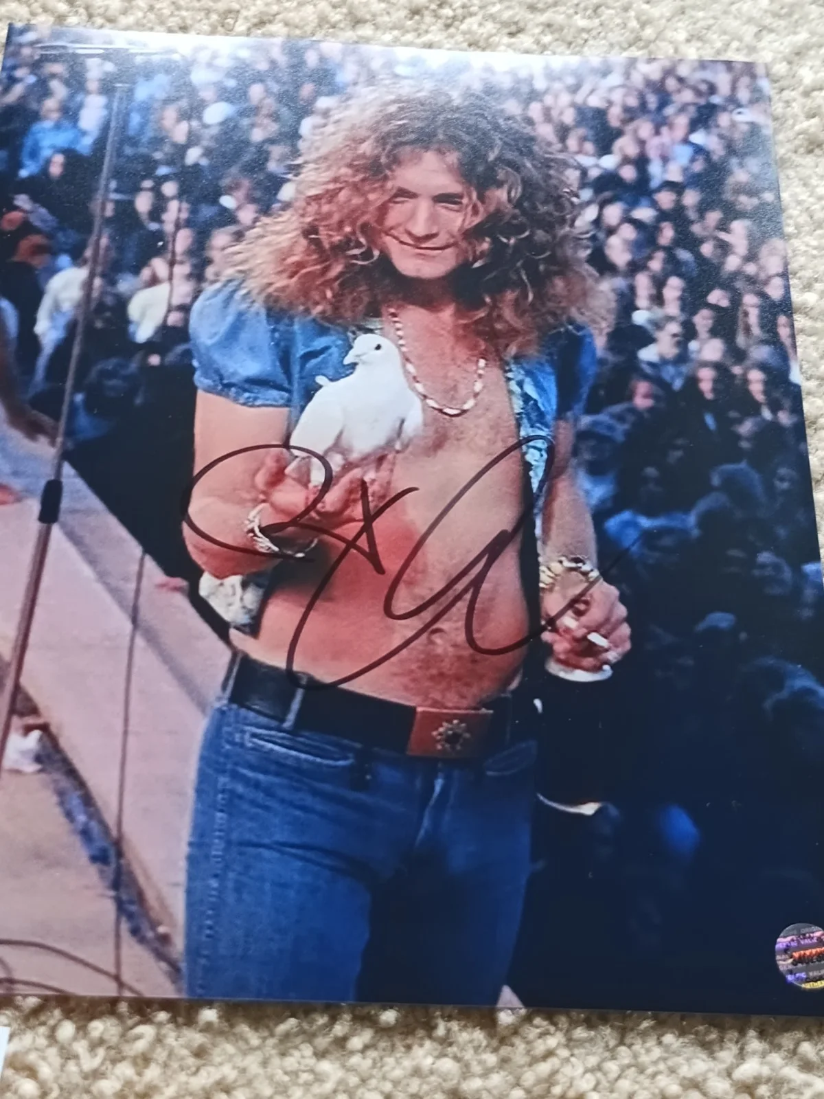 Led Zeppelin Robert Plant Autograph Signature, image 2