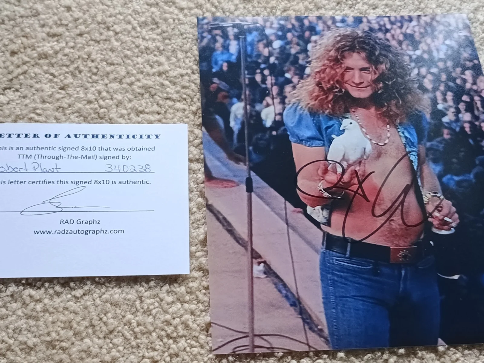 Led Zeppelin Robert Plant Autograph Signature, image 4