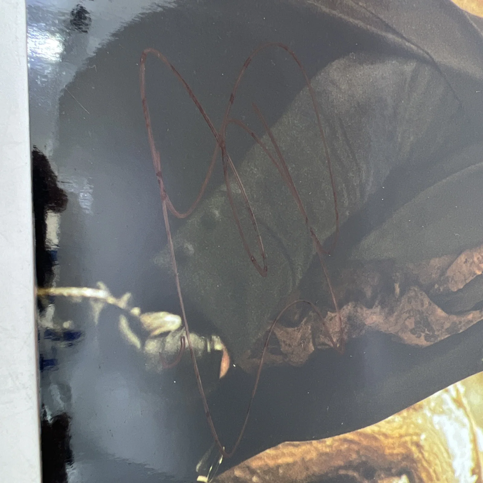 Gerard Butler autographed 8x10 Picture signed Photo and COA UACC, изображение 3