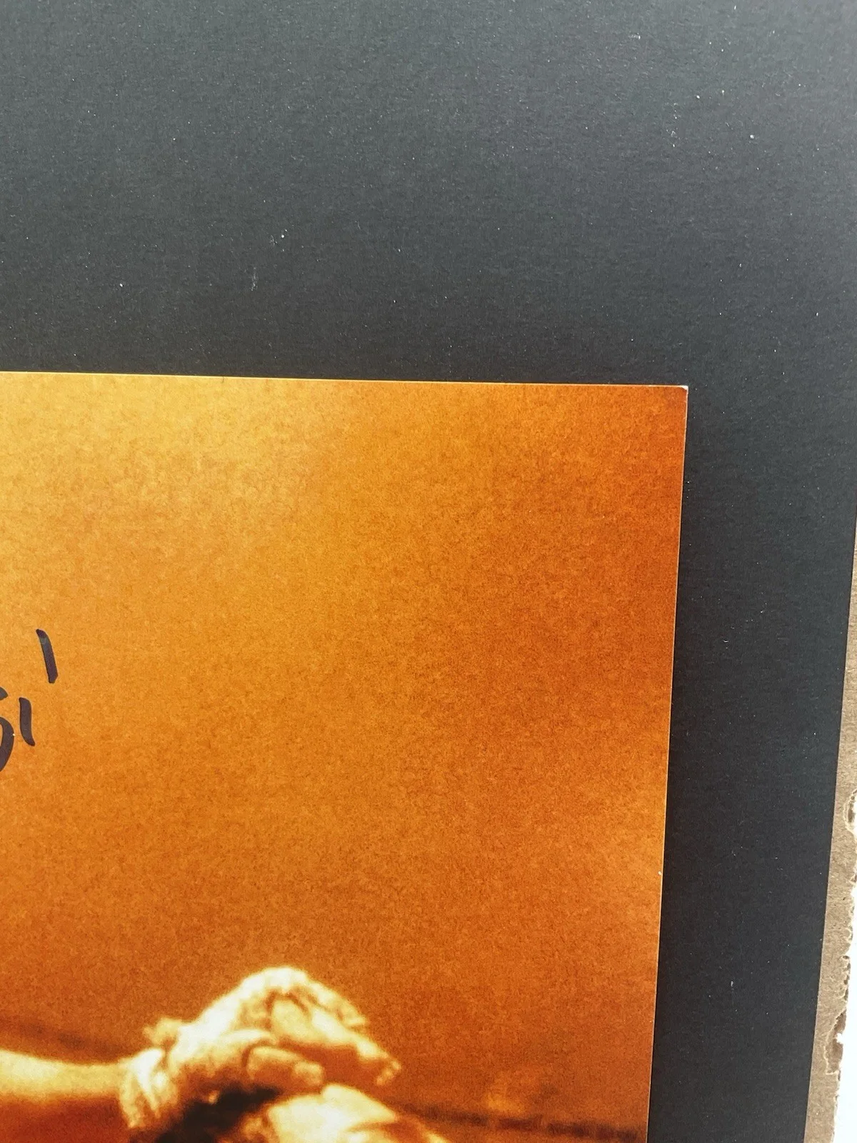 Michel Qissi — Michel Qissi signed 8x10 Kickboxer signed photo ACOA Jean Claude Van Damme 8x10, изображение 4