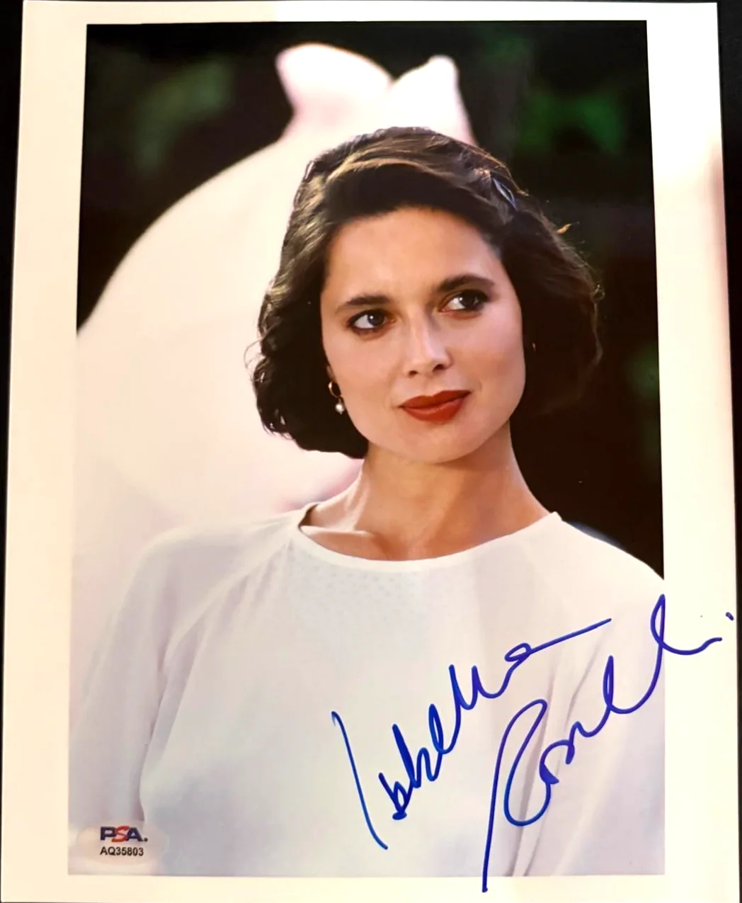 Isabella Rossellini — ISABELLA ROSSELLINI SIGNED AUTOGRAPHED 8X10 PHOTO DEATH BECOMES HER JOY PSA COA
