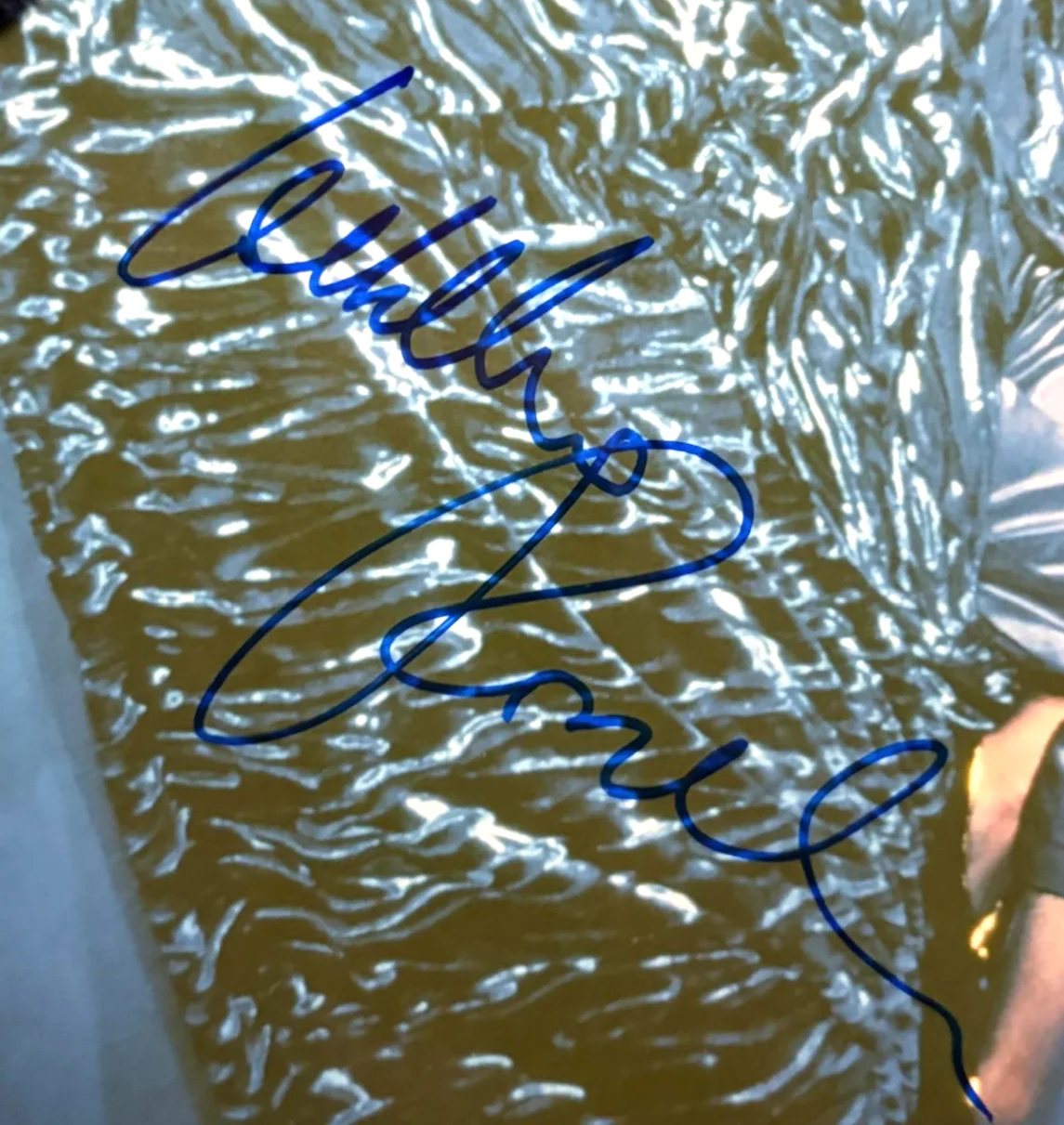 Isabella Rossellini — ISABELLA ROSSELLINI SIGNED AUTOGRAPHED 8X10 PHOTO CONCLAVE FEARLESS JOY PSA COA, image 3