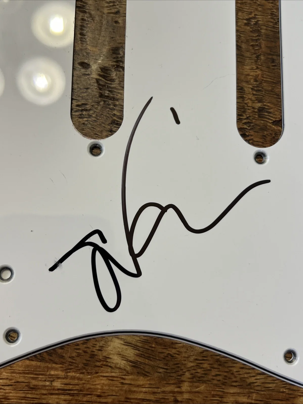 Steve Vai Signed Electric Guitar Pickguard JSA Coa Autographed, image 2