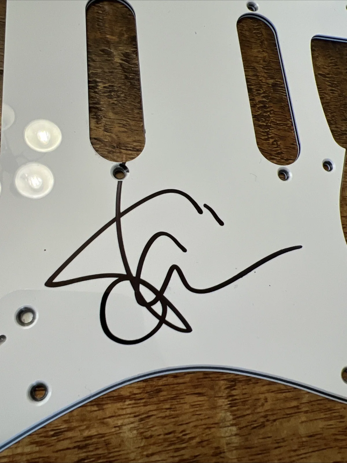 Steve Vai Signed Electric Guitar Pickguard JSA Coa Autographed, image 2