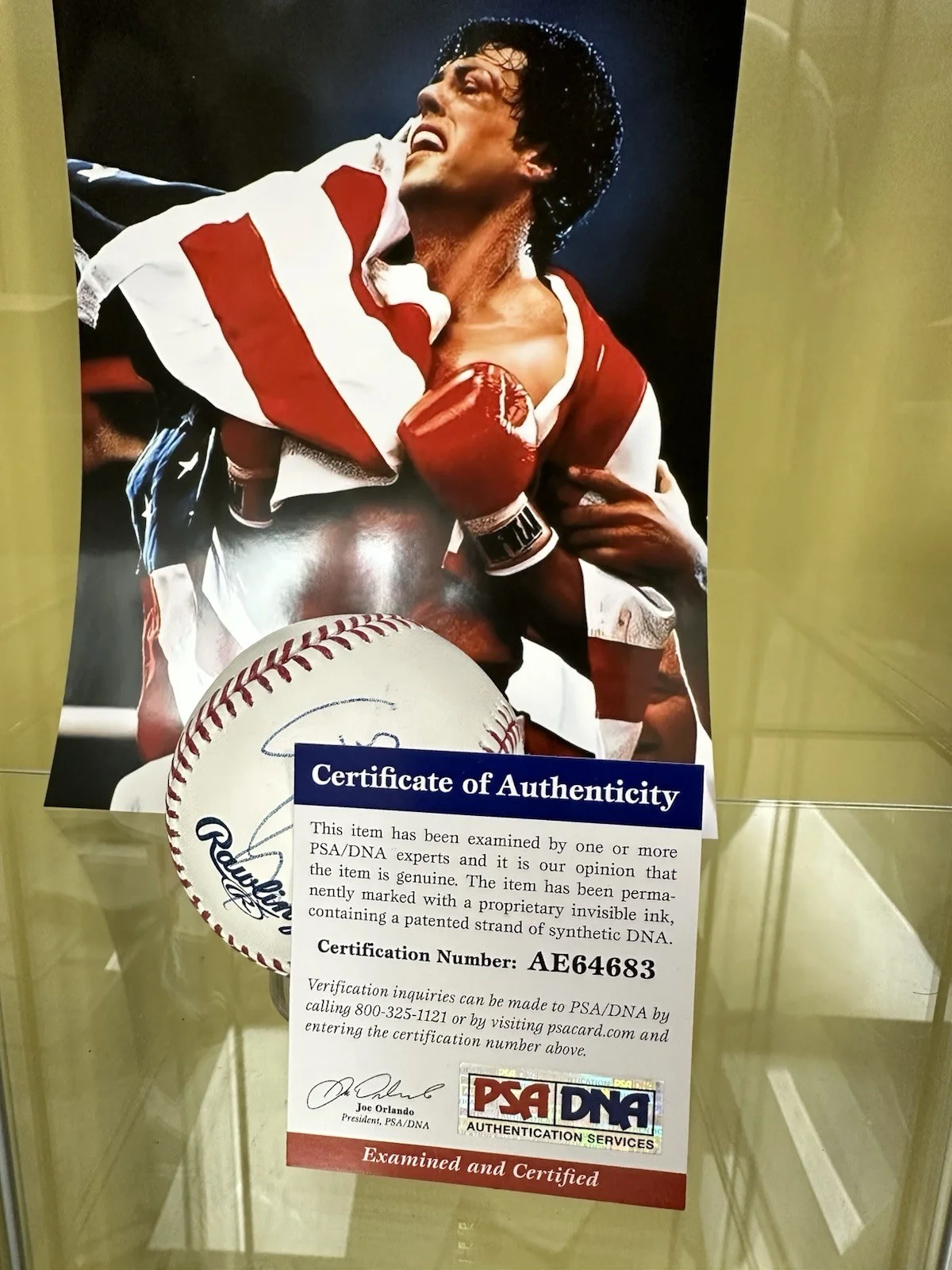 Sylvester Stallone Signed Baseball PSA DNA COA Rocky Rambo, image 2