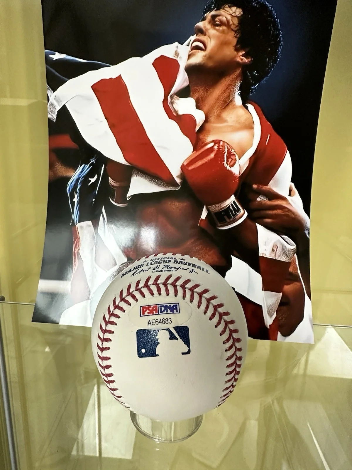 Sylvester Stallone Signed Baseball PSA DNA COA Rocky Rambo, image 3