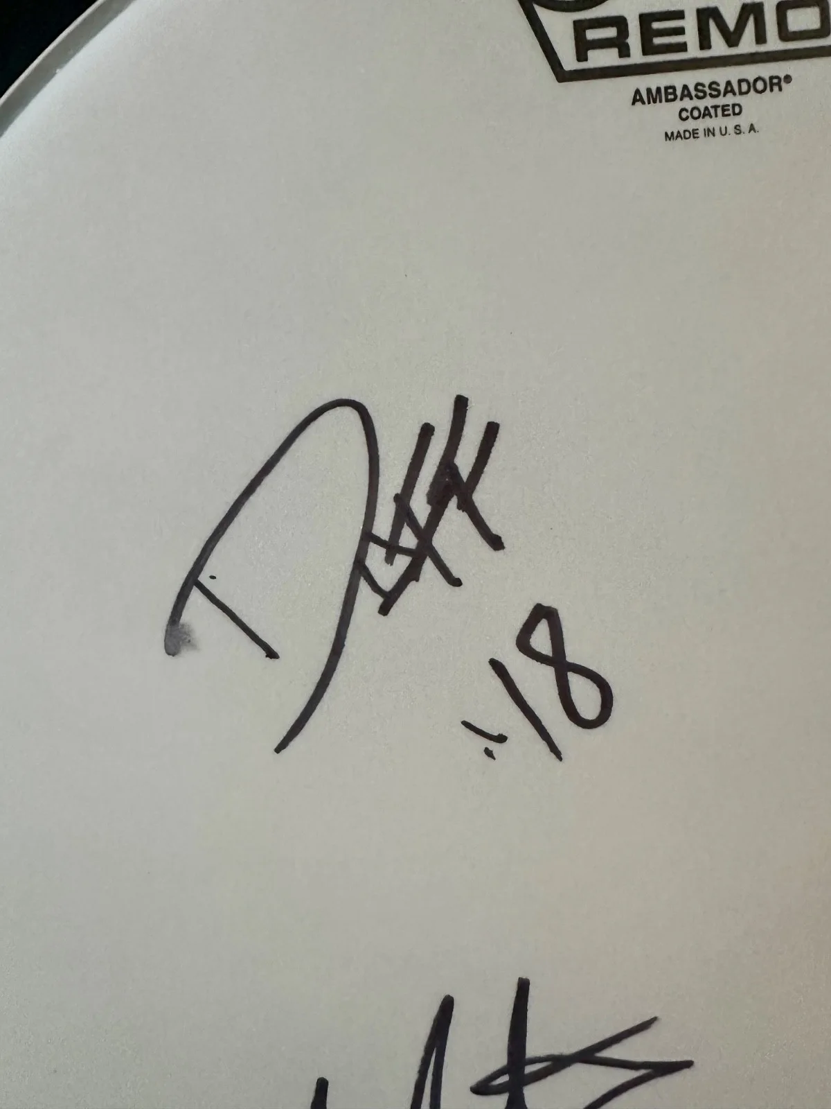 Walking Papers Drumhead Signed by Duff McKagan, Barrett Martin, Jeff Angell, image 2