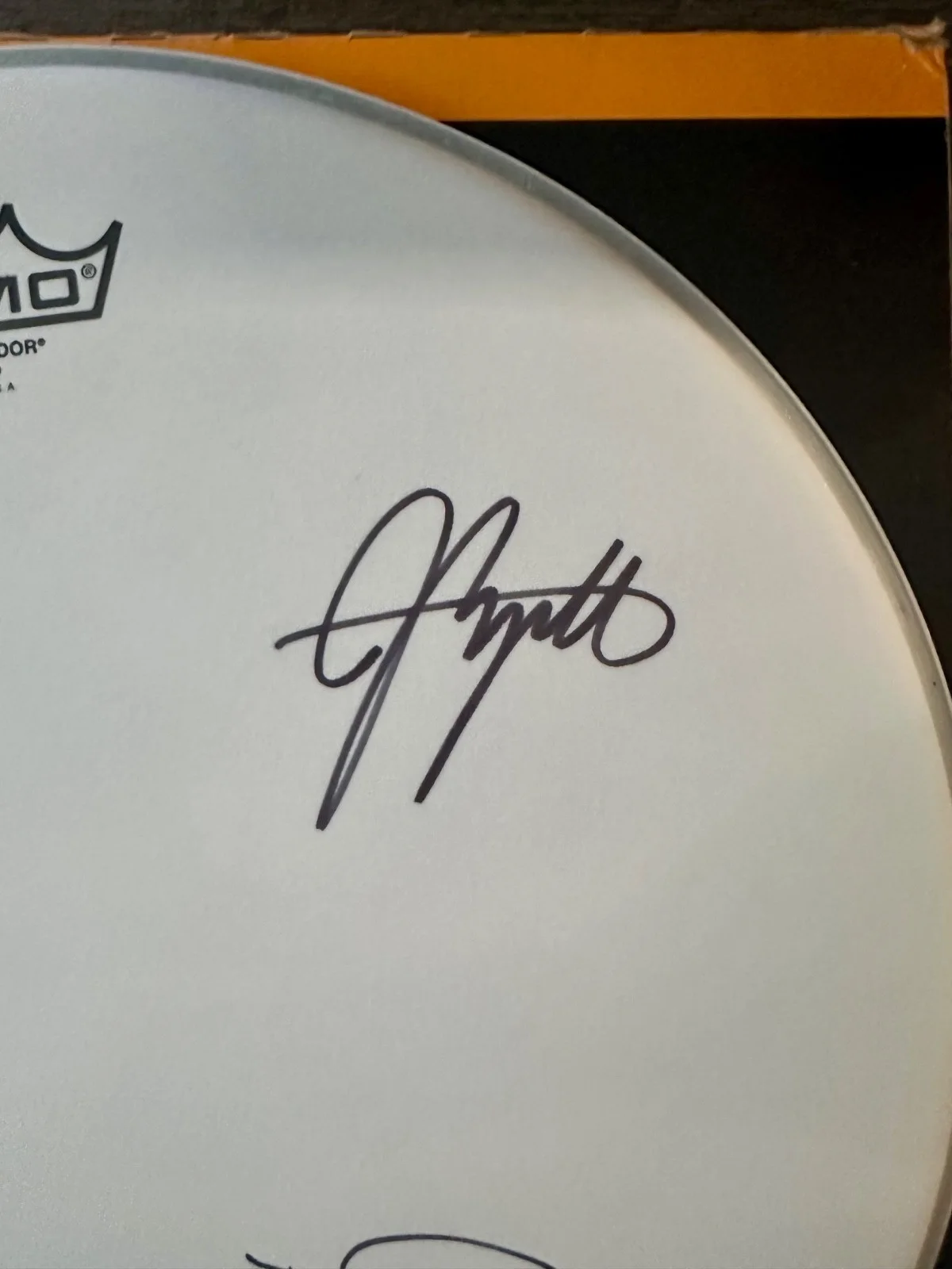 Walking Papers Drumhead Signed by Duff McKagan, Barrett Martin, Jeff Angell, image 4
