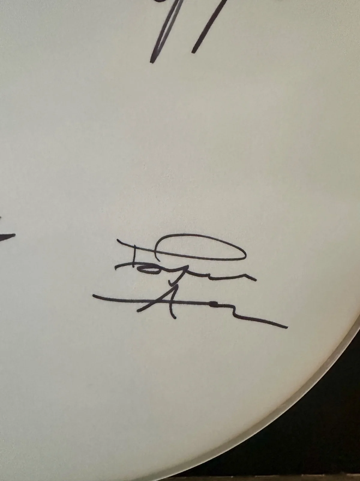 Walking Papers Drumhead Signed by Duff McKagan, Barrett Martin, Jeff Angell, image 5