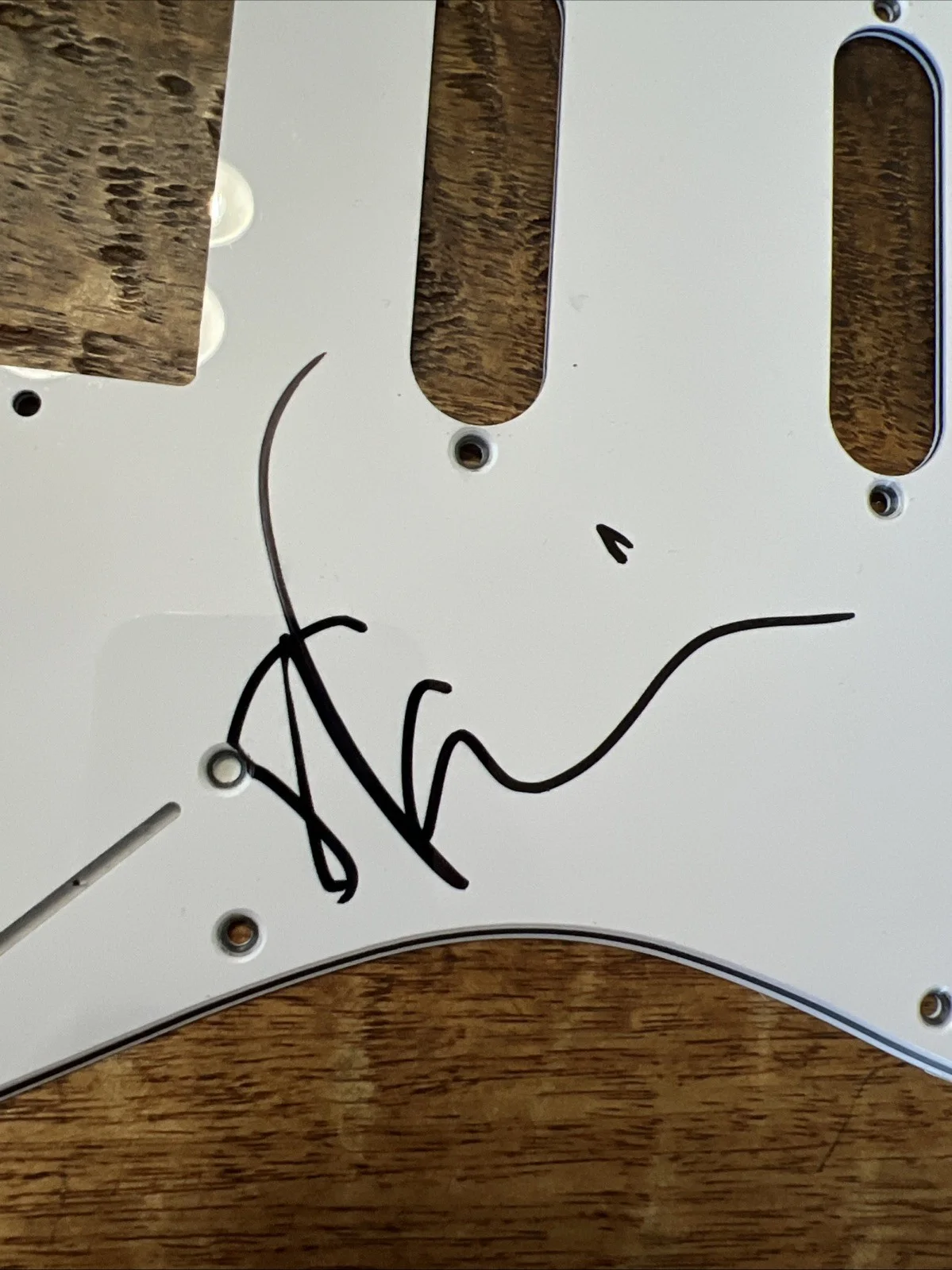 Steve Vai Signed Electric Guitar Pickguard JSA Coa Autographed, image 2