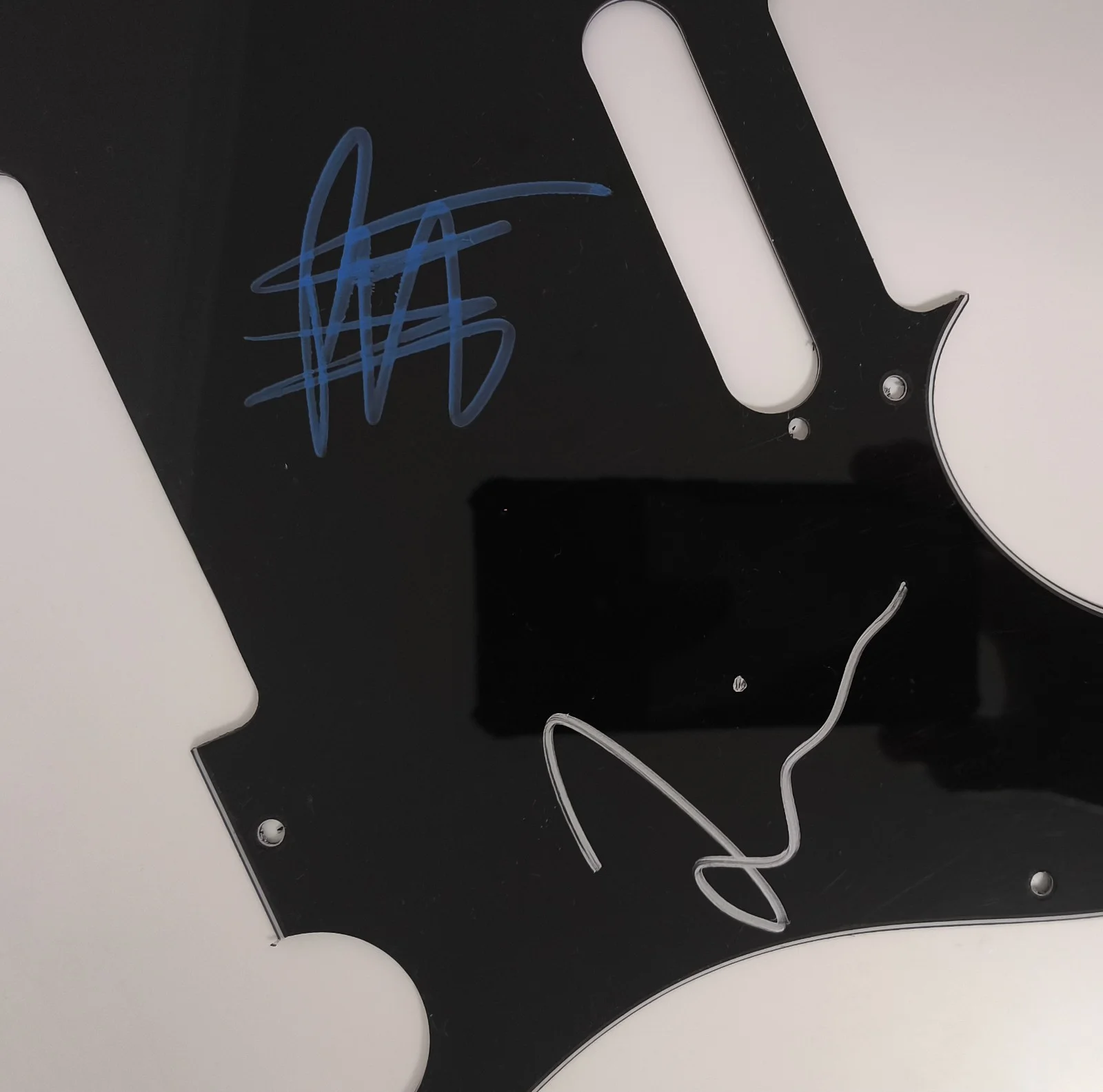 TAYLOR HAWKINS, PAT SMEAR Signed Autographed Guitar PickGuard, изображение 2