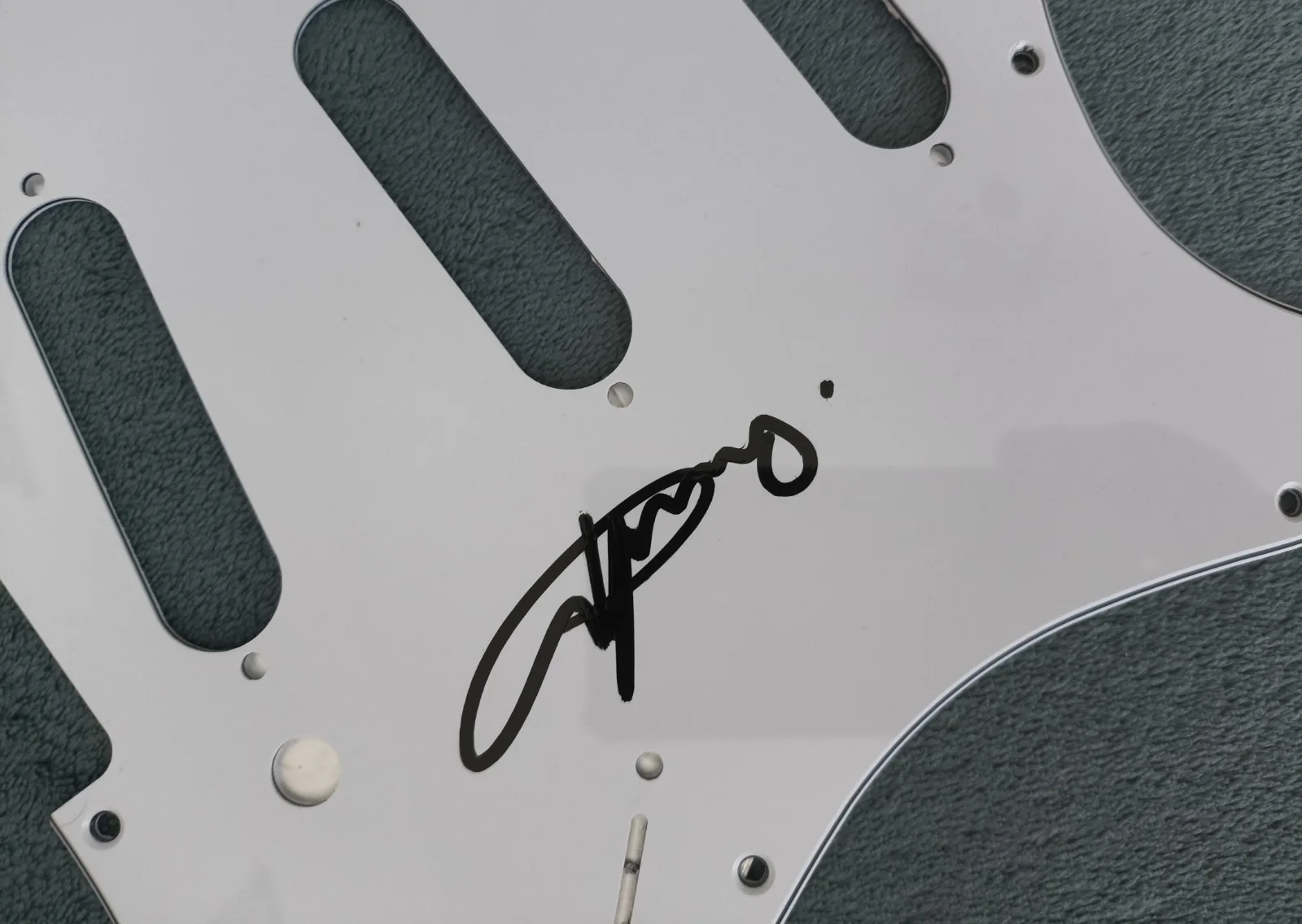 ANGUS YOUNG Signed Autographed Guitar PickGuard, image 2