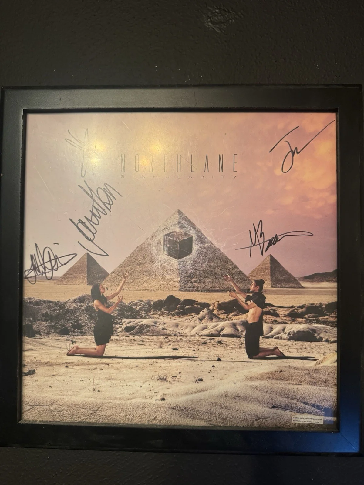 Northlane Singularity Signed Original Vinyl Record LP, image 4