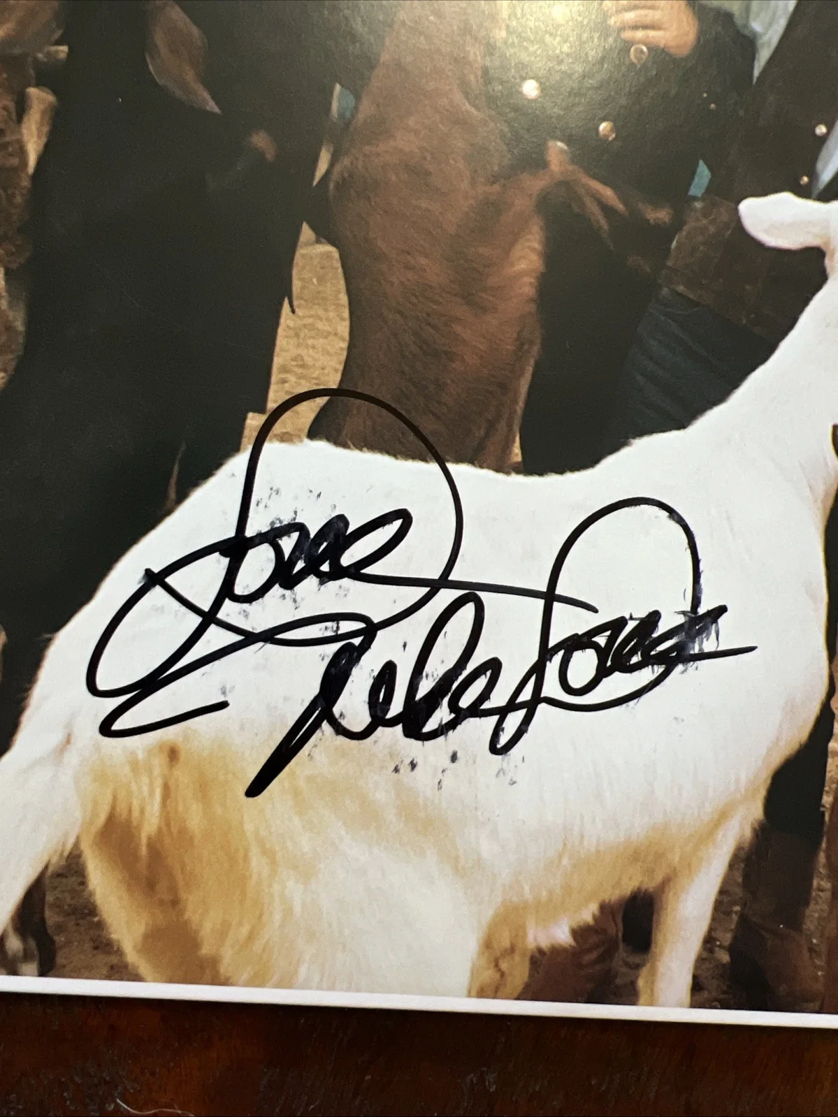 Mike Love Signed Pet Sounds Vinyl Album JSA Coa Autographed The Beach Boys, изображение 2