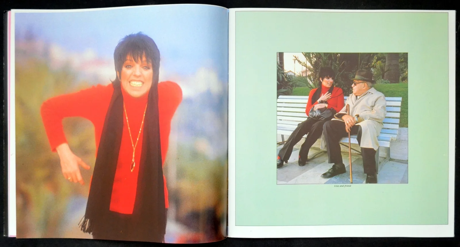 LIZA MINNELLI BY MYSELF 1983 Joe Eula UK CONCERT BROCHURE, image 4