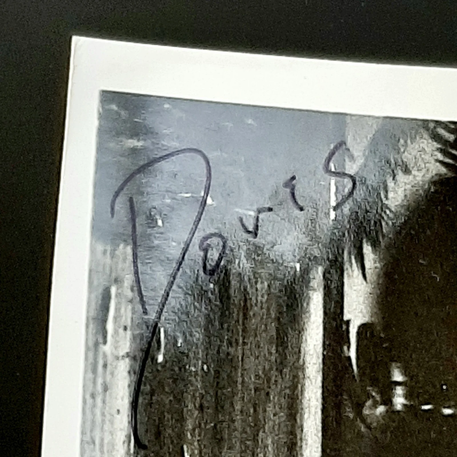 Michael Gregory — 1970's Promo Photo Actor Michael Gregory Signed Autograph General Hospital, изображение 3