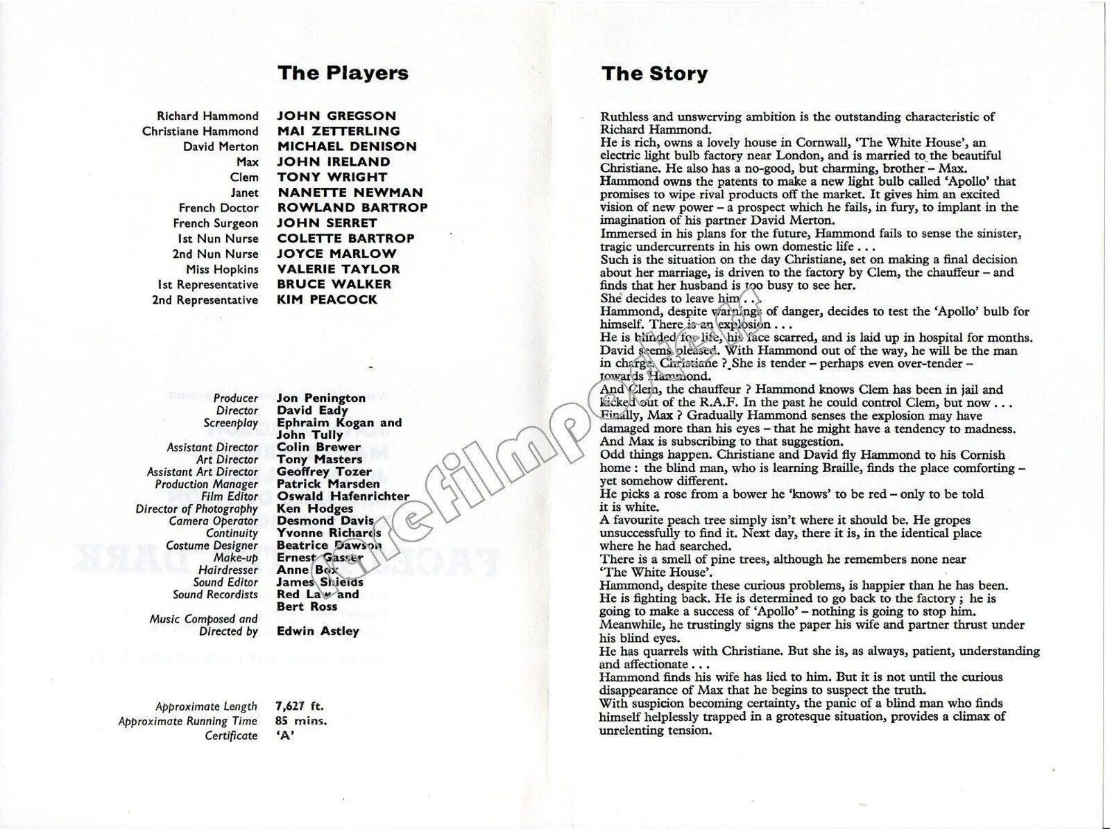 FACES IN THE DARK 1960 John Gregson, Mai Zetterling, Michael Denison UK SYNOPSIS, image 2