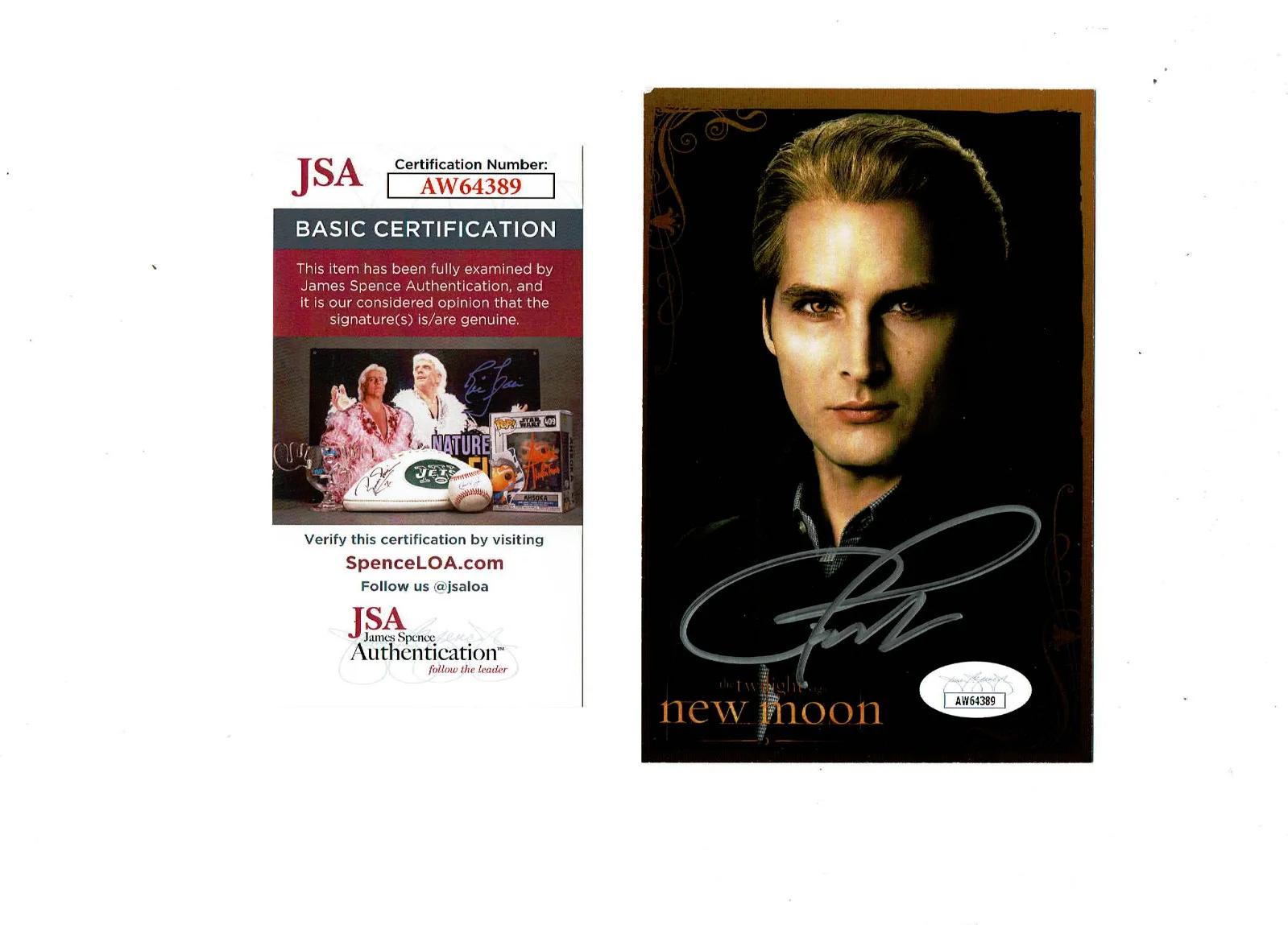 Peter Facinelli — Twilight actor Peter Facinelli autographed 4x6 color photo JSA Certified **