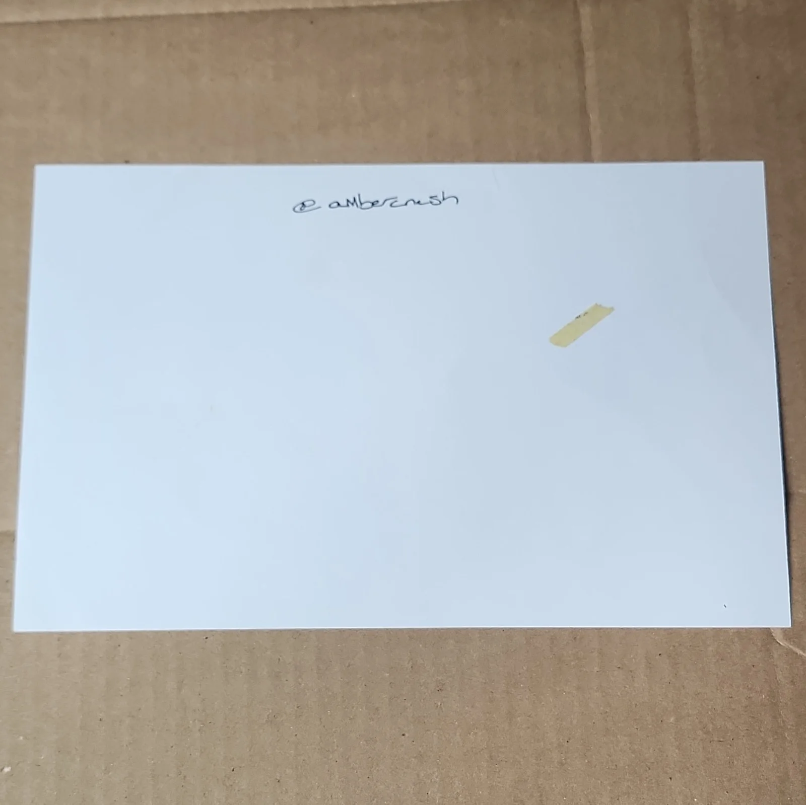 Amber Nash — Amber Nash Signed Archer (FX) Original Photo - Television Autograph, изображение 2
