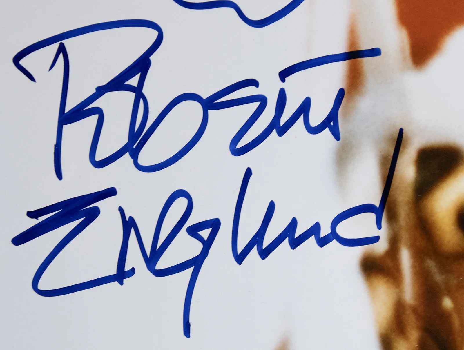 Robert Englund — ROBERT ENGLUND - SELF-CARICATURE SIGNED, image 2