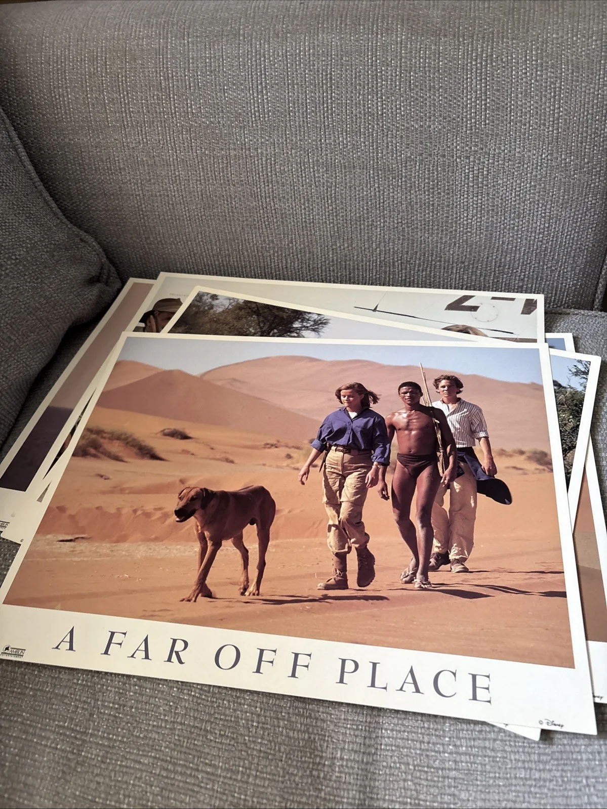 A Far Off Place Original lobby cards - Reese Witherspoon - Set of 6, изображение 3
