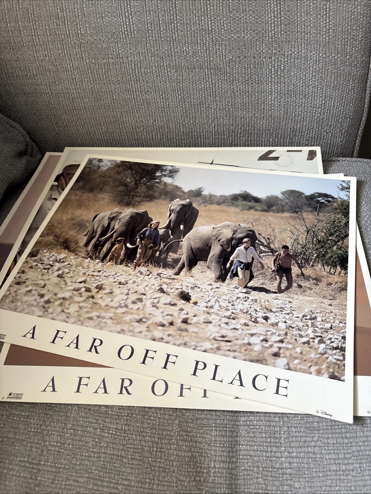 A Far Off Place Original lobby cards - Reese Witherspoon - Set of 6, изображение 5