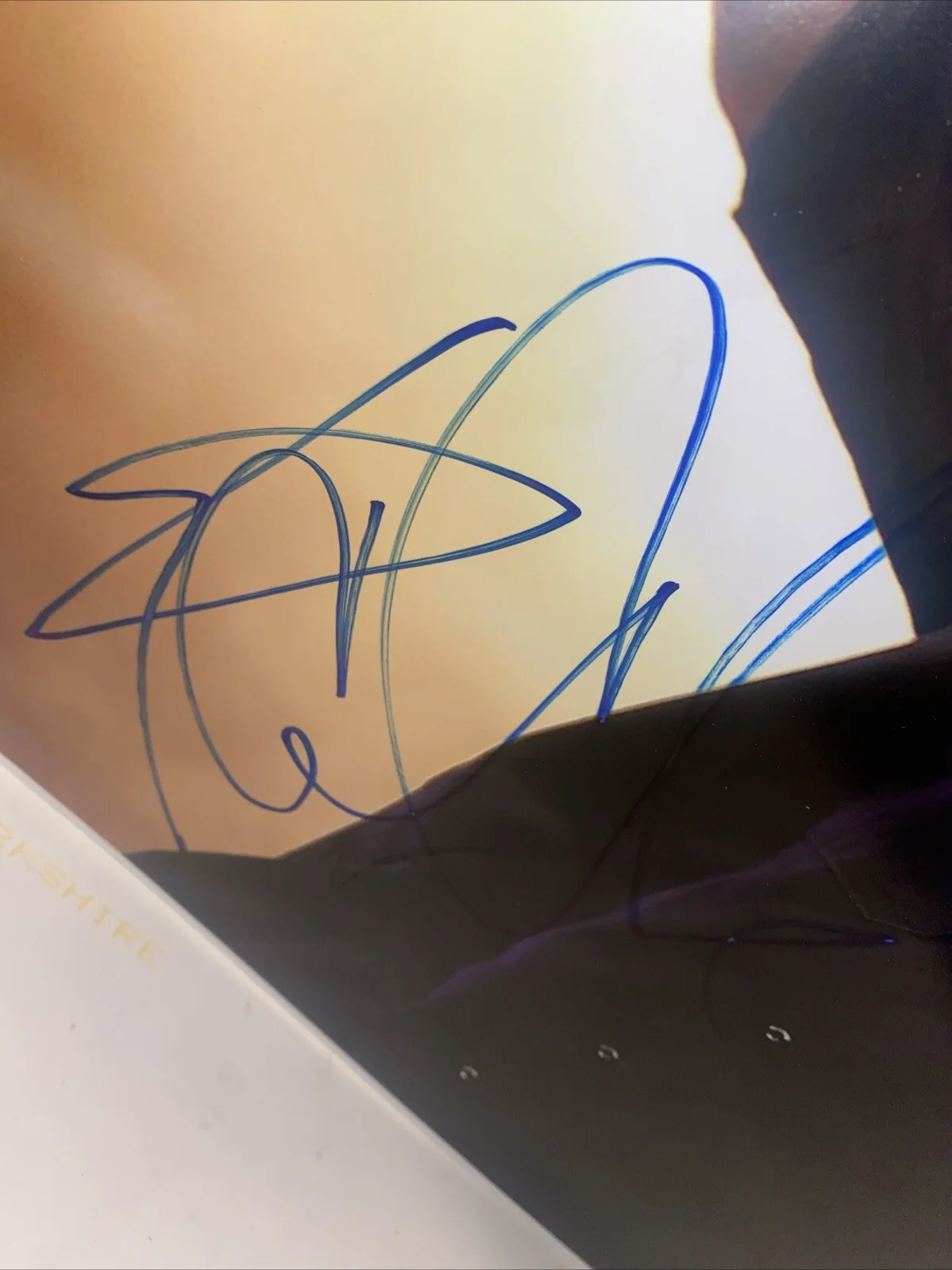 Ice Cube — Ice Cube Signed HUGE Autograph 16x20 Photo JSA COA, image 4