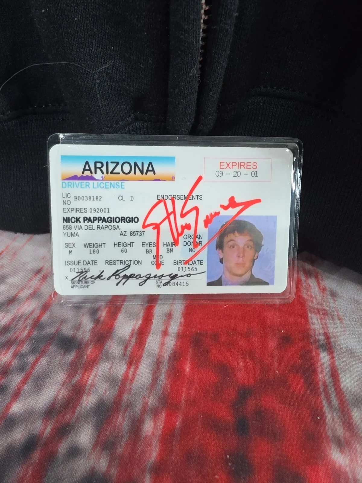 Ethan Embry — Ethan Embry Signed Vegas Vacation Nick Pappagiorgio Driver's License With HH COA, изображение 2