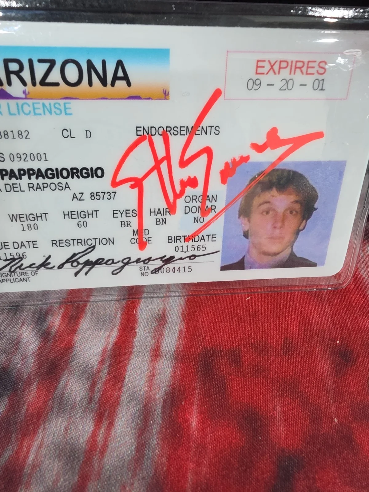 Ethan Embry — Ethan Embry Signed Vegas Vacation Nick Pappagiorgio Driver's License With HH COA, изображение 3