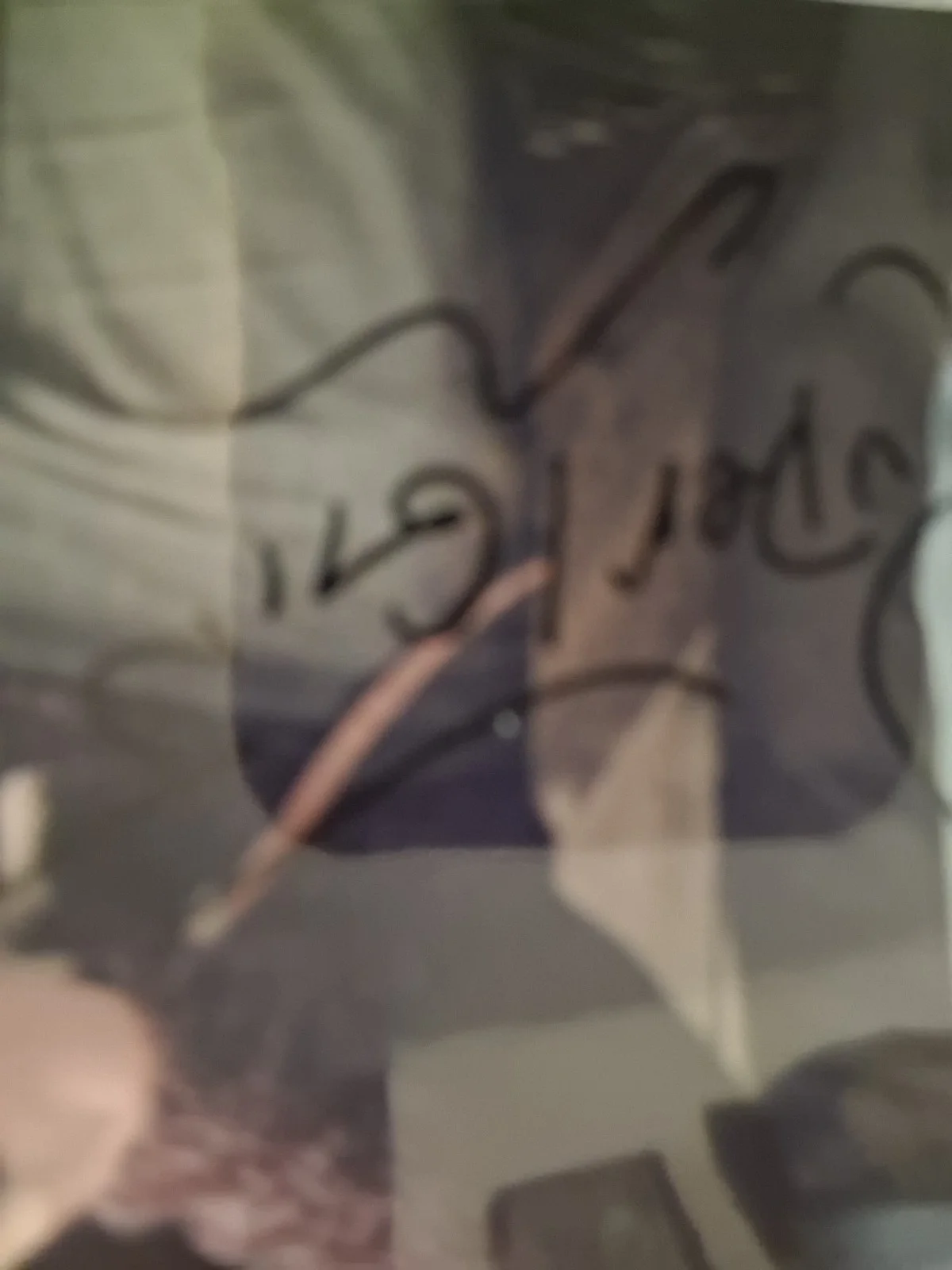 Cast — Harry Potter young Cast Signed by Three with COA. Superb!, image 4