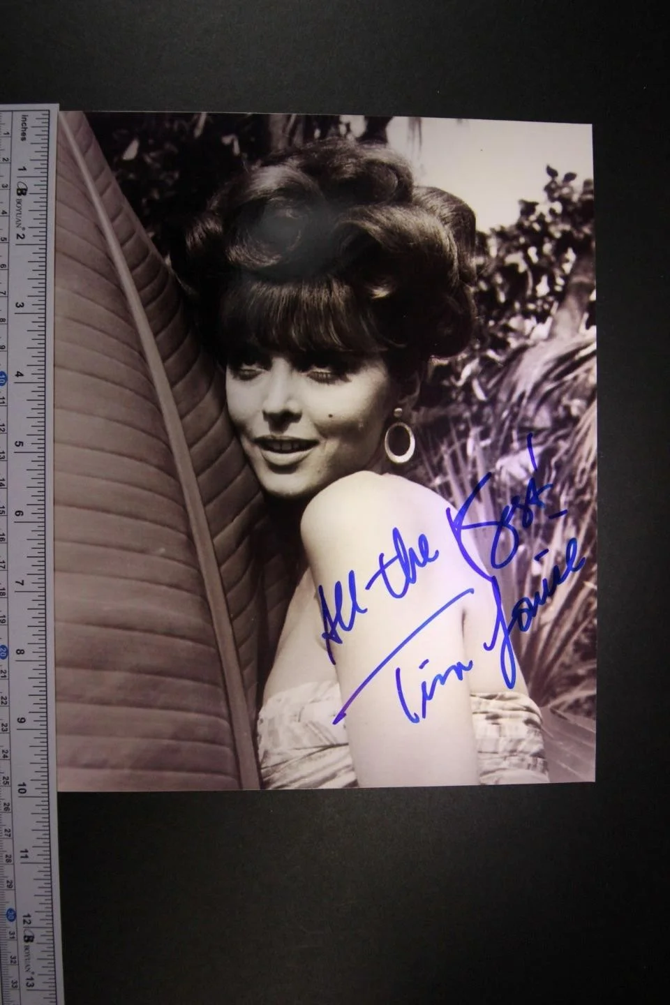 Tina Louise — TINA LOUISE (GILLIGAN'S ISLAND~GOD'S LITTLE ACRE) AUTOGRAPH PHOTO~