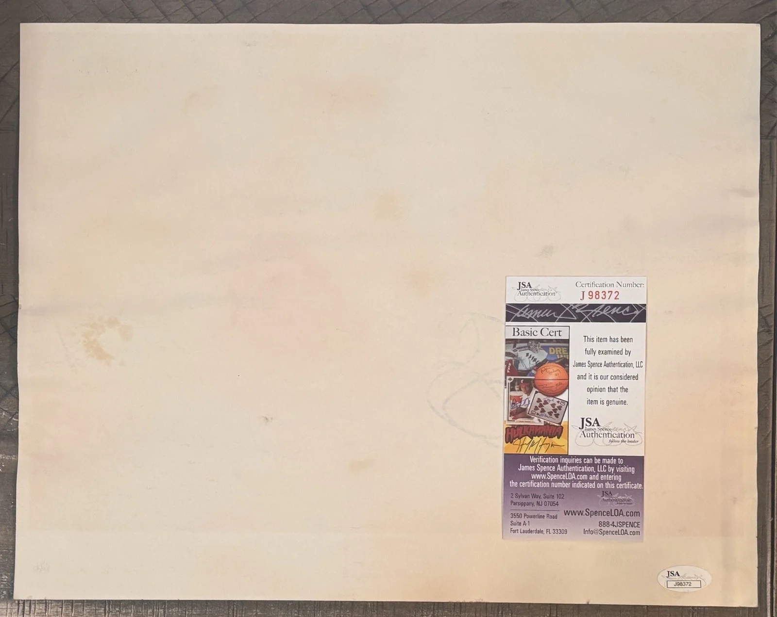 Jeff Daniels Signed The Purple Rose Of Cairo Lobby Card 11X14 Photo JSA Cert., изображение 2