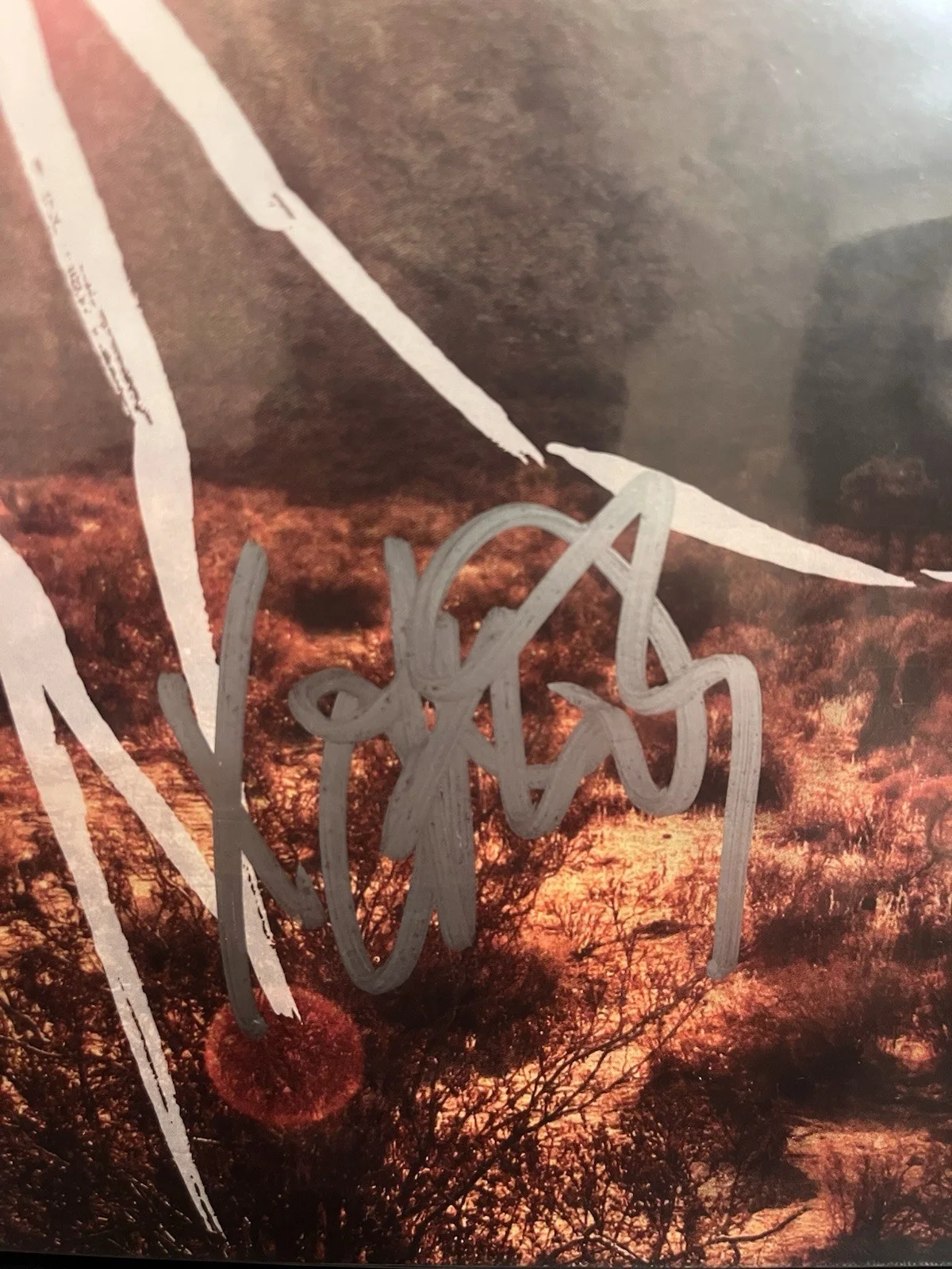 FRANK IERO SIGNED MY CHEMICAL ROMANCE DANGER DAYS VINYL RECORD ALBUM JSA COA, image 2