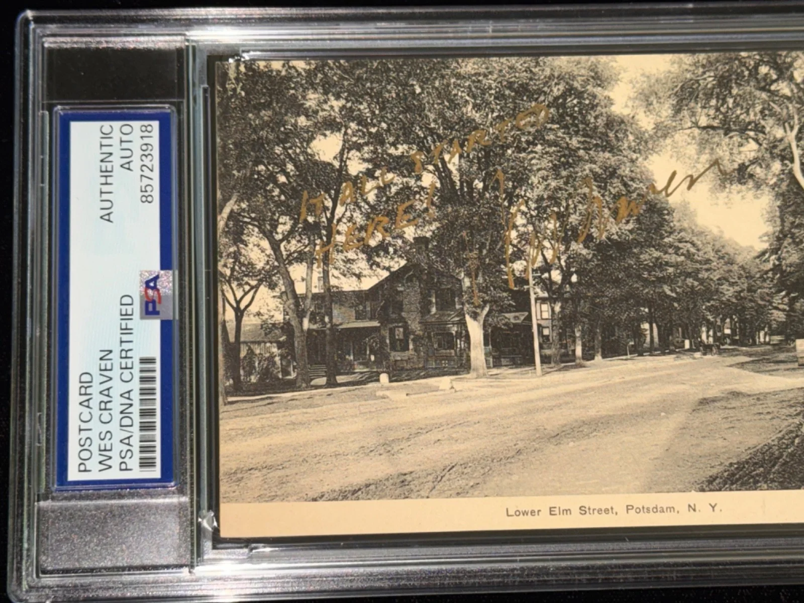 Signed Wes Craven Nightmare On Elm St Postcard "It Started Here" inscription PSA, image 3