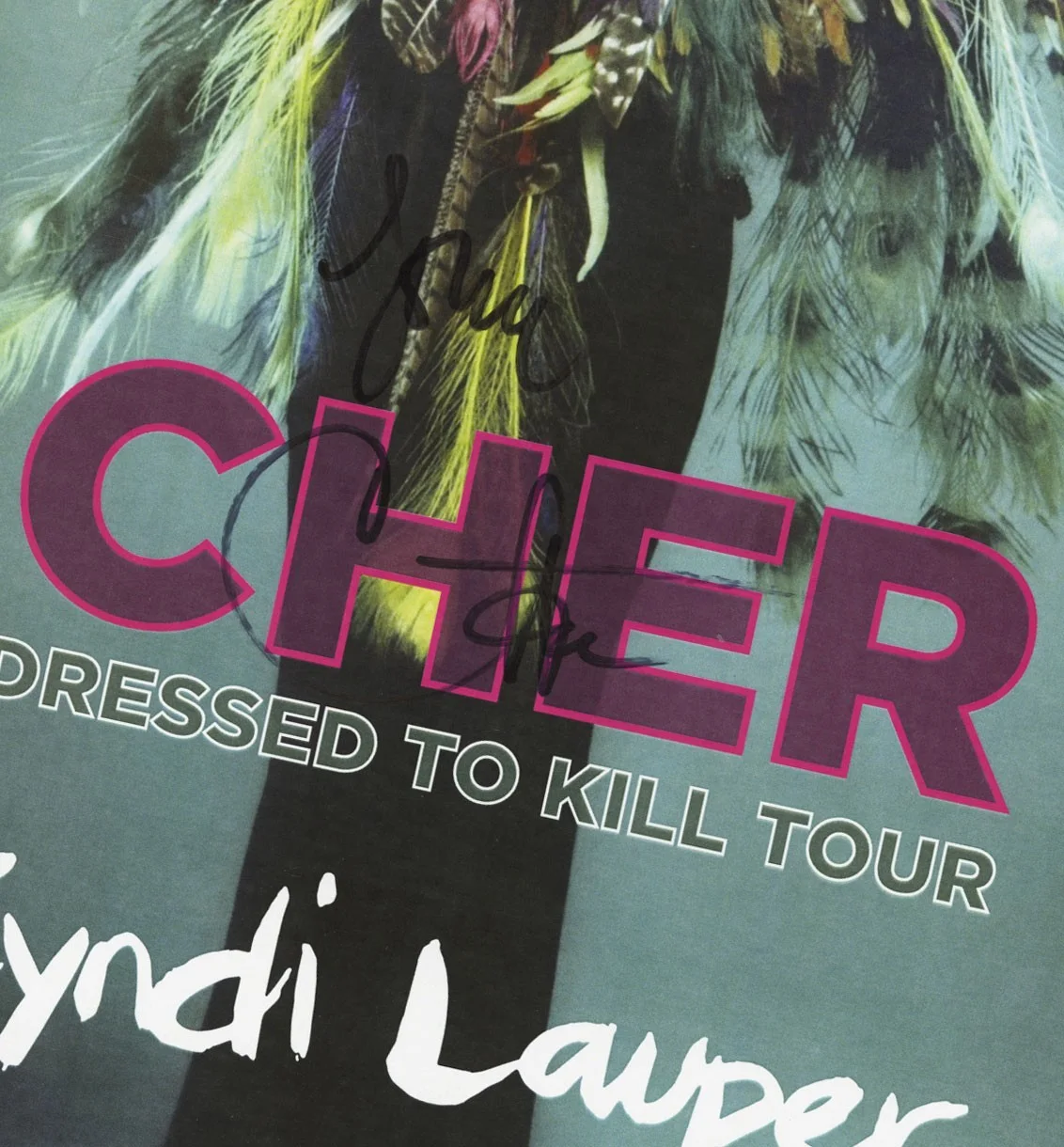 Cher autographed gig poster, image 2