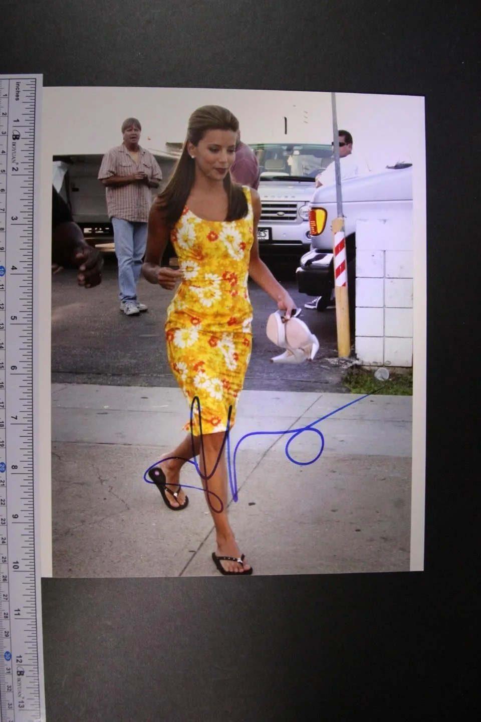Eva Longoria — EVA LONGORIA (DESPERATE HOUSEWIVES~OVERBOARD) AUTOGRAPH PHOTO~