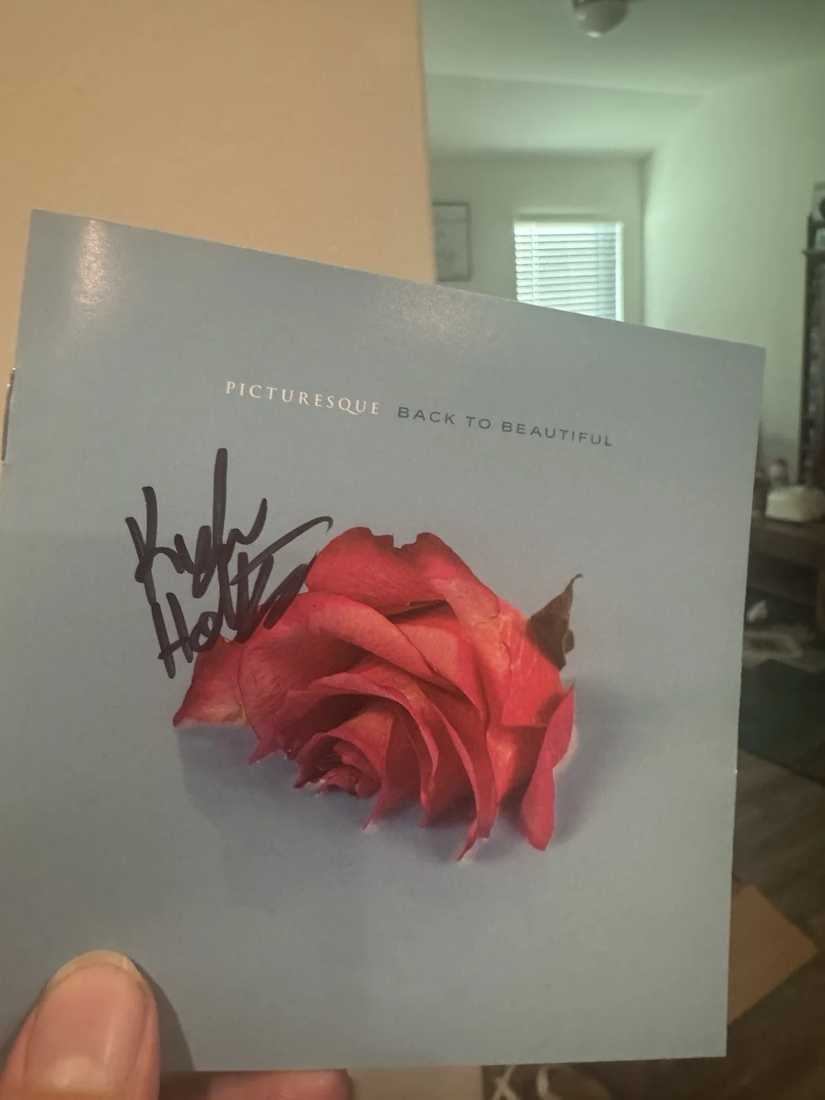 Picturesque Back to Beautiful Kyle Hollis Signed CD, image 3