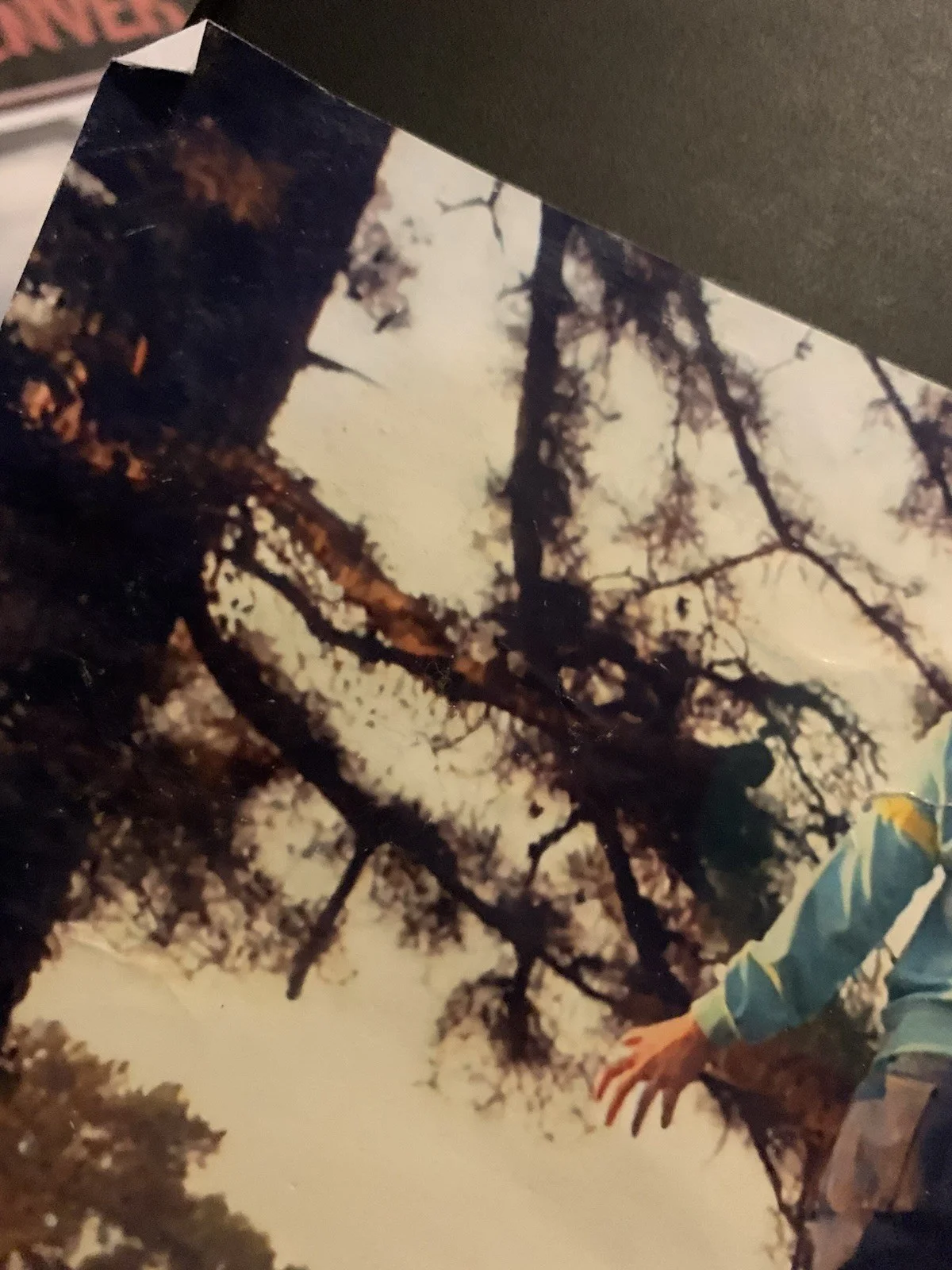 Sadi Sink — Sadie Sink Stranger Things Hand Signed!!!, image 4