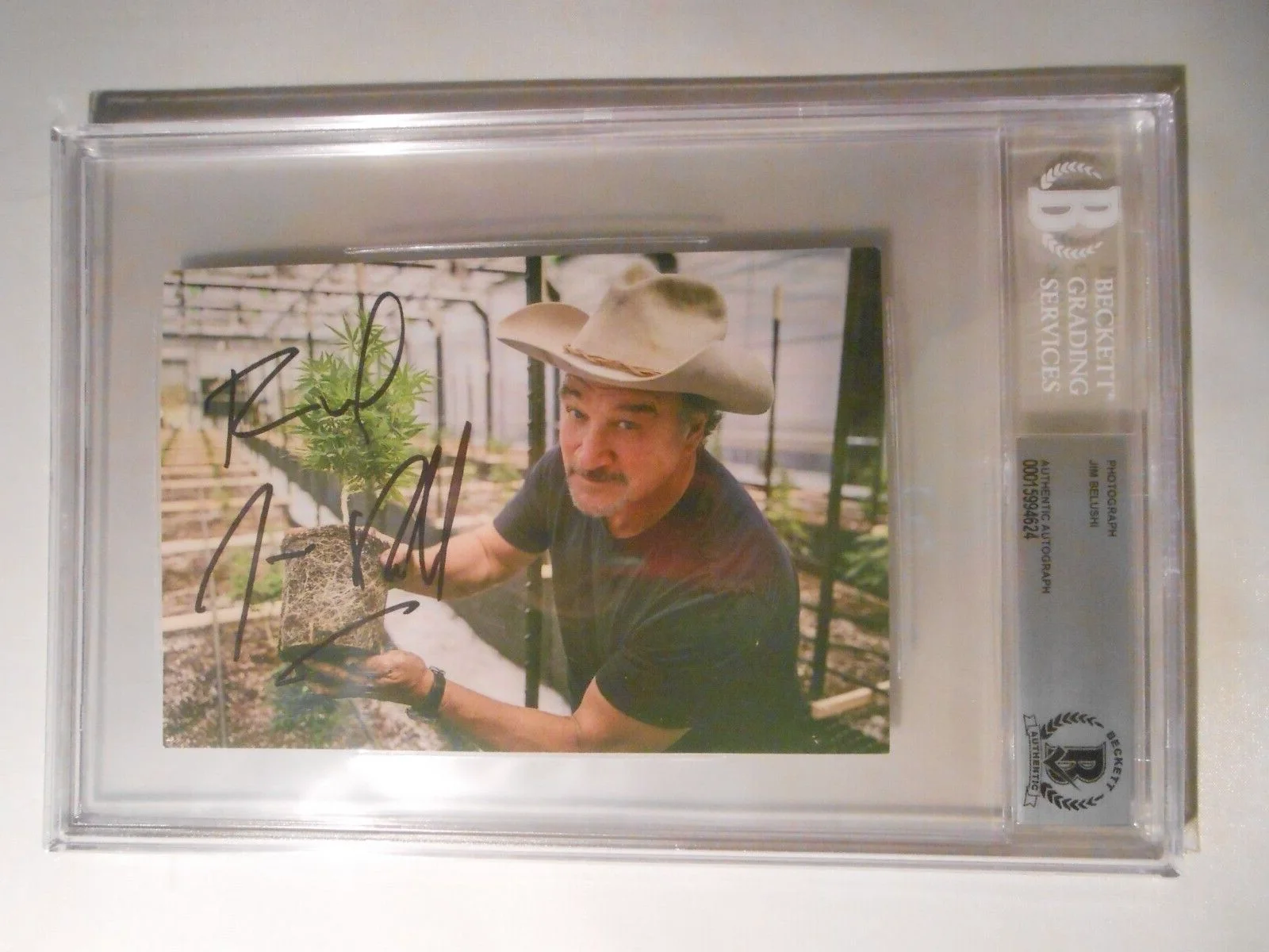 Jim Belushi — Jim Belushi ~ Marijuana ~ 4x6 Photo #2 Signed Auto Autograph Beckett Slabbed