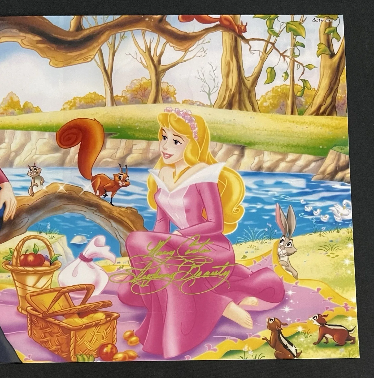 Mary Costa — Mary Costa Signed 8x10 Sleeping Beauty Photo Autographed JSA COA Princess Aurora, image 4