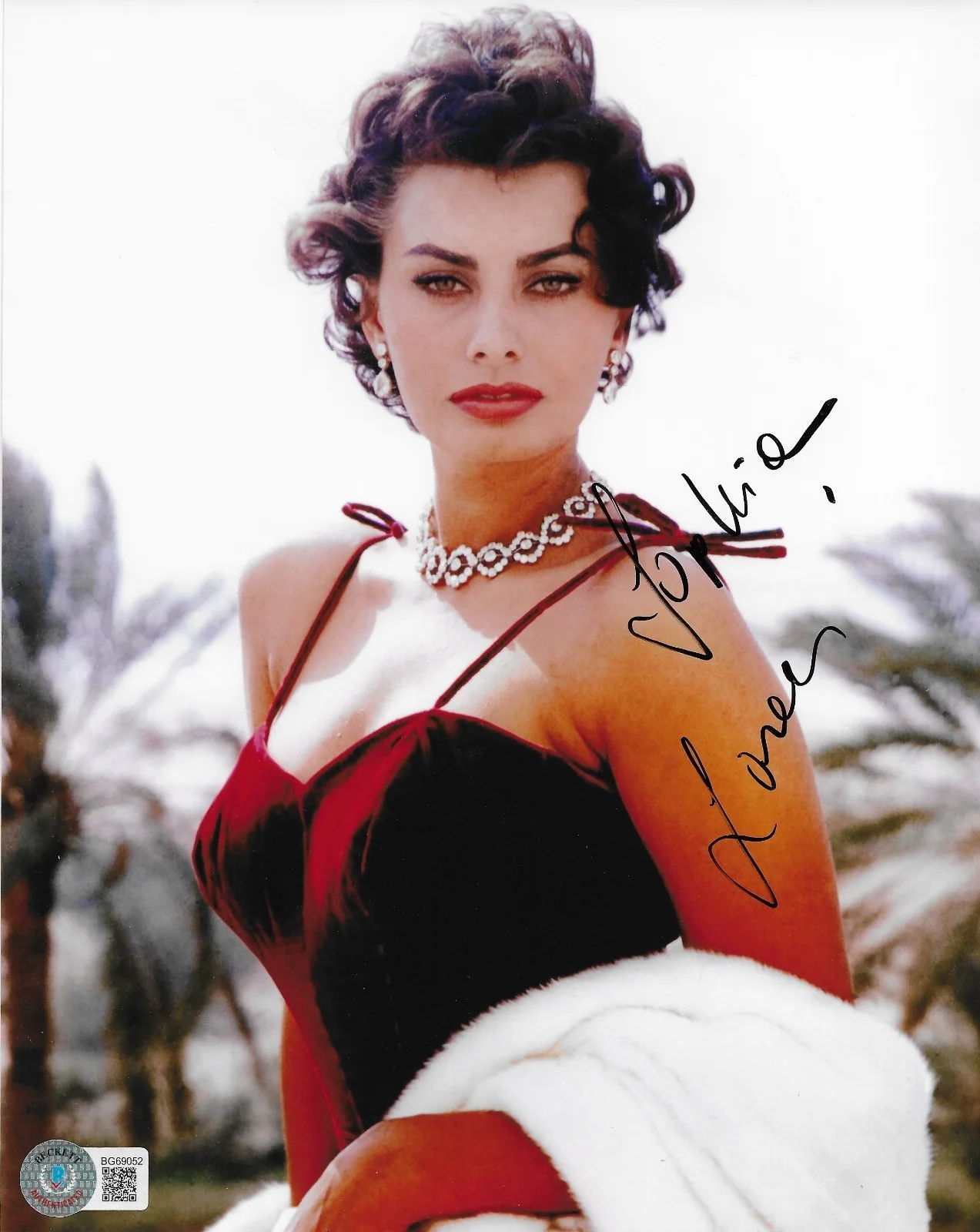 Sophia Loren — Sophia Loren BAS Signed 8x10 Photo Autographed Fall of Roman Empire Houseboat 52