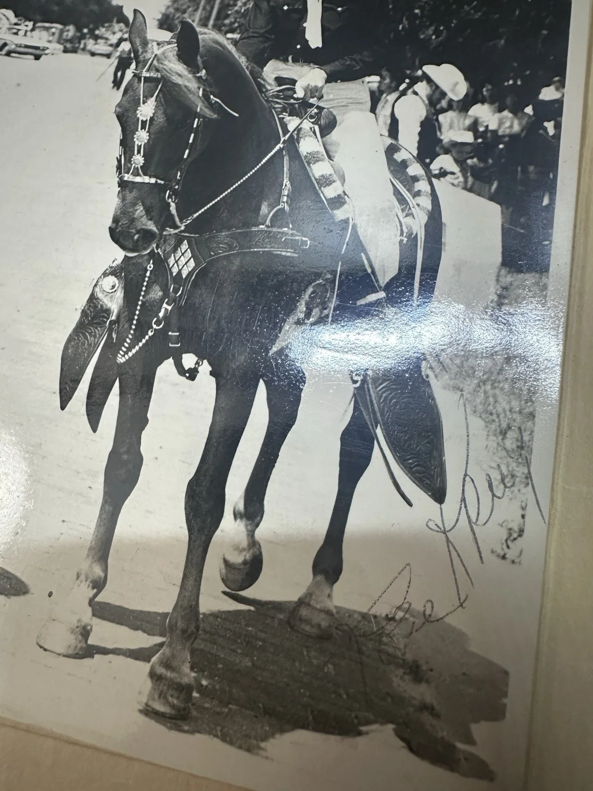 Rose Krug — Signed 1961 Russell Kansas Parade Horse Photograph Rose Krug, изображение 3