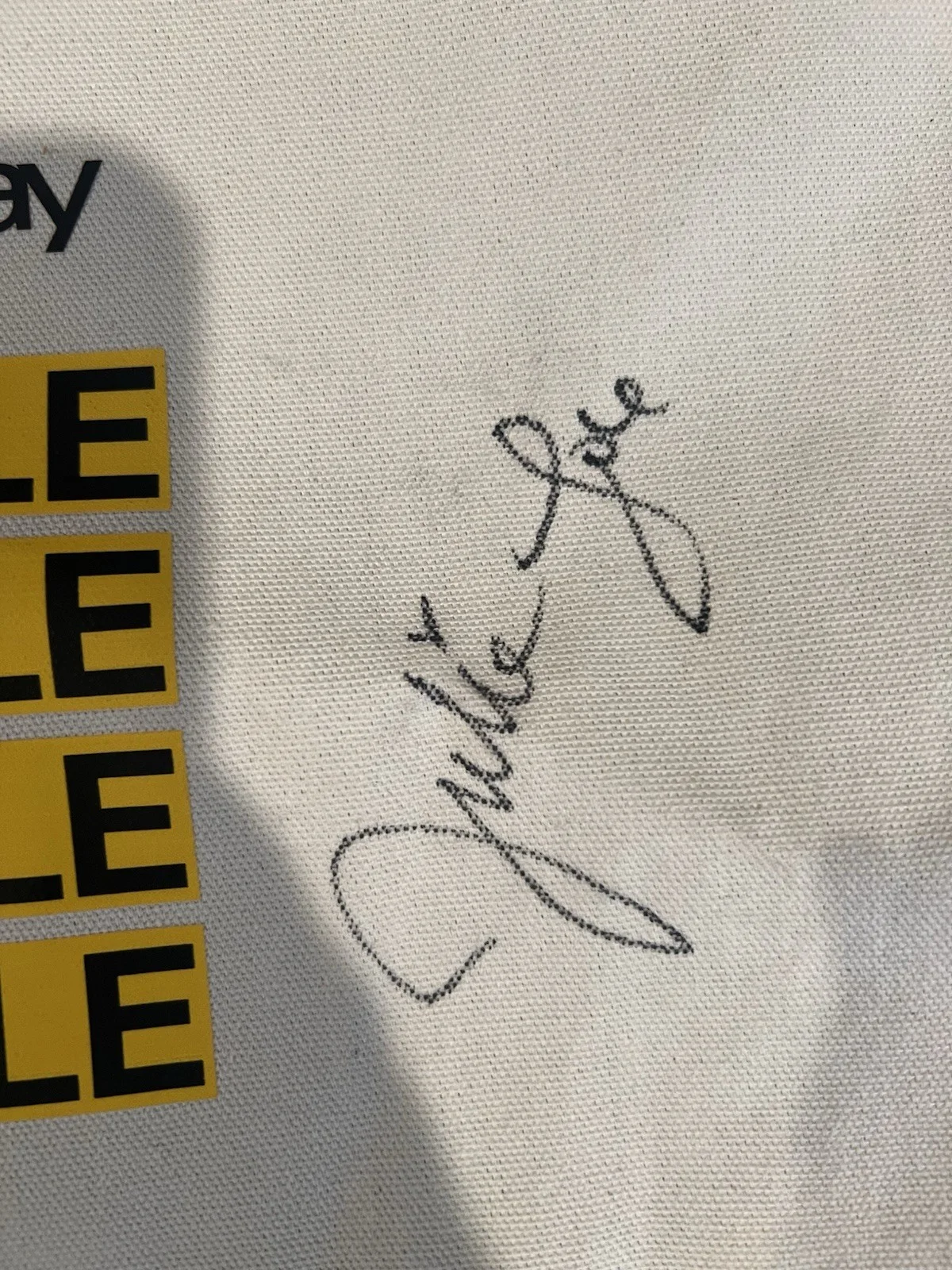 Julia fox eBay Stoop Sale Signed Bag, image 3