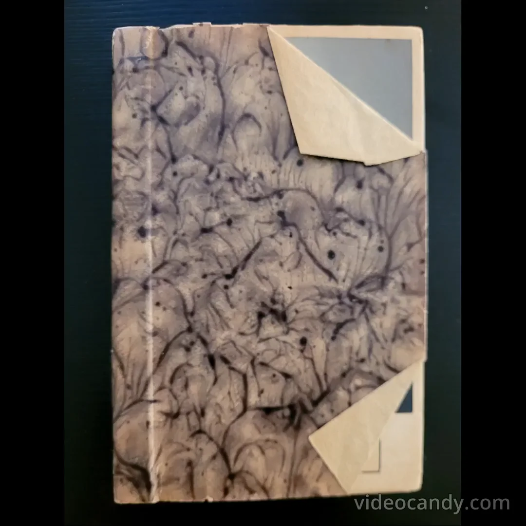 RARE 1940s Latin American Music Mexican Autograph Book: Néstor , Hugo + video, изображение 2