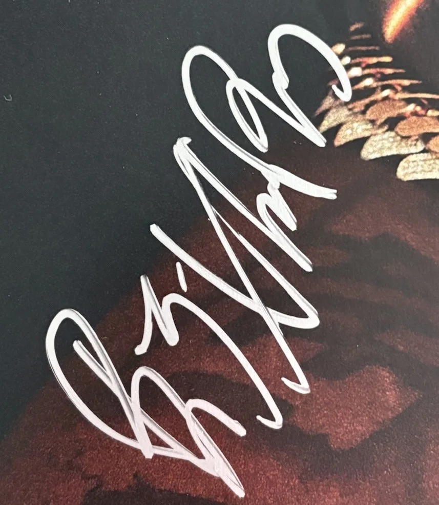 BigXthaPlug Signed Autographed Take Care Album [Blue Vinyl] The Largest JSA COA!, изображение 3