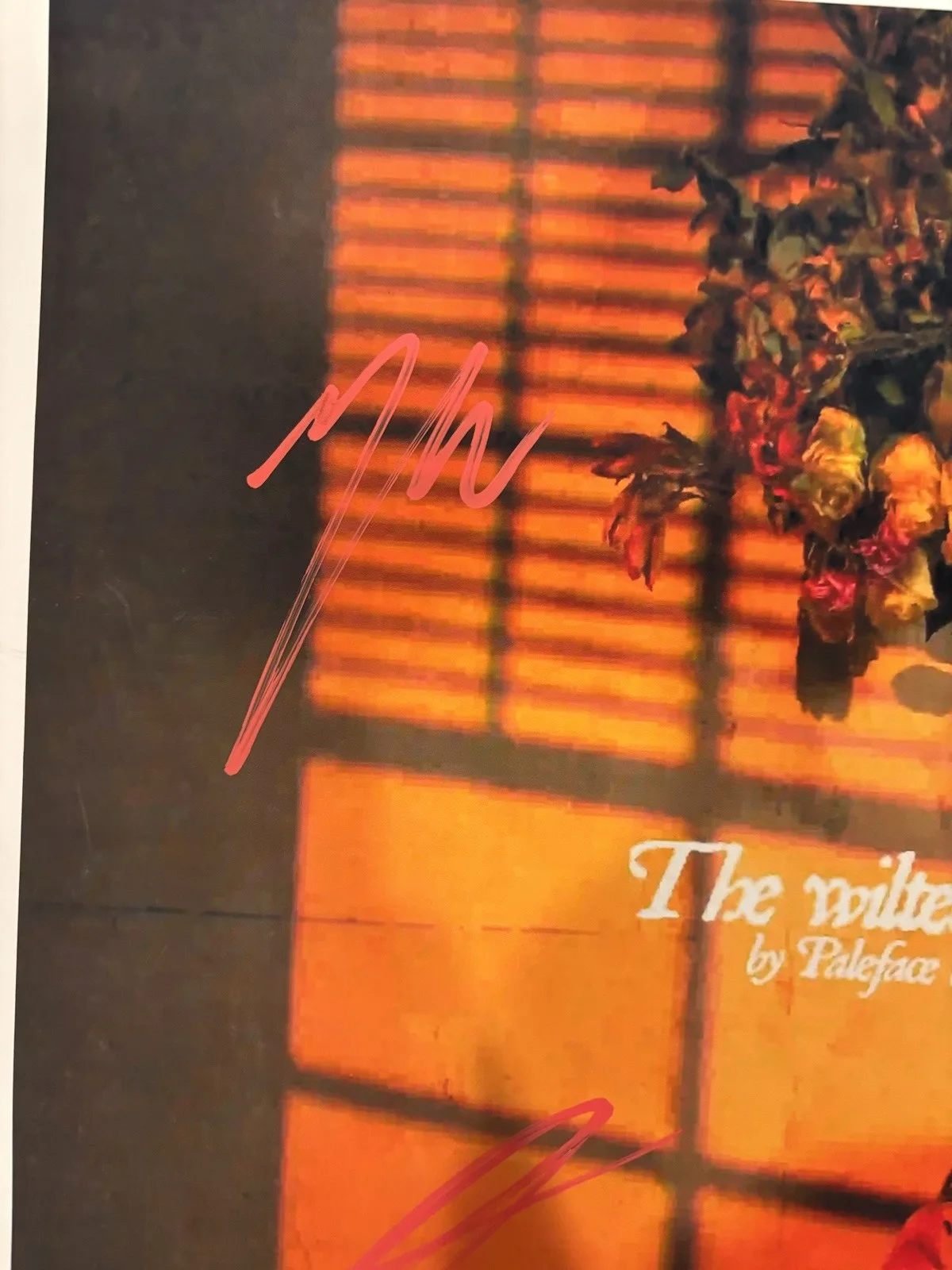 Paleface Swiss FULL BAND (3x) Autographed/Signed The Wilted EP 12x12 Album Photo, изображение 3