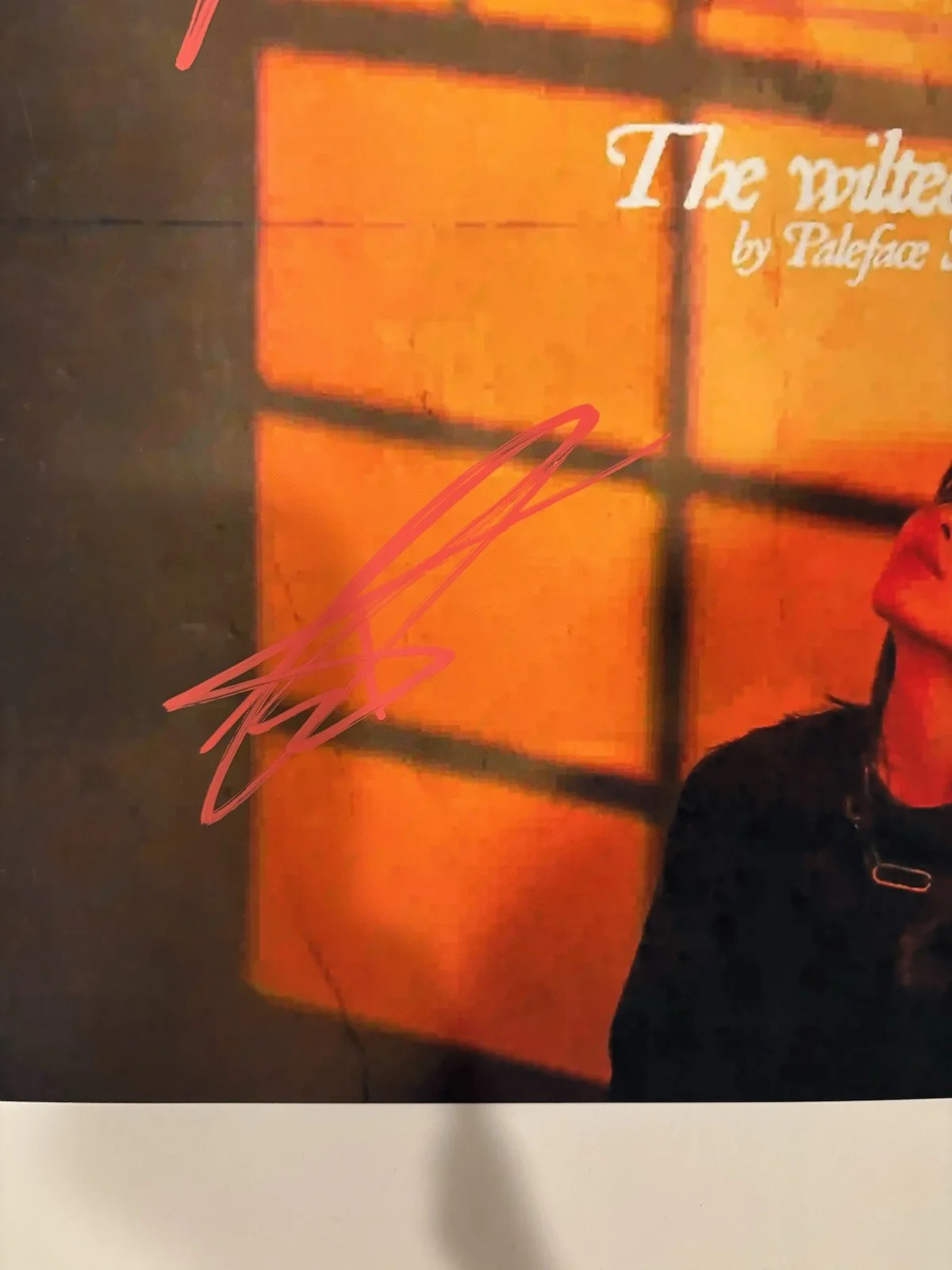Paleface Swiss FULL BAND (3x) Autographed/Signed The Wilted EP 12x12 Album Photo, изображение 4