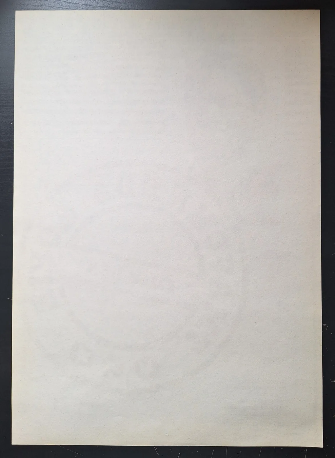 CARBON COPY, TMAVOHNEDA KOPIE, DENZEL WASHINGTON, ORIGINAL A3 CZECH MOVIE POSTER, изображение 3