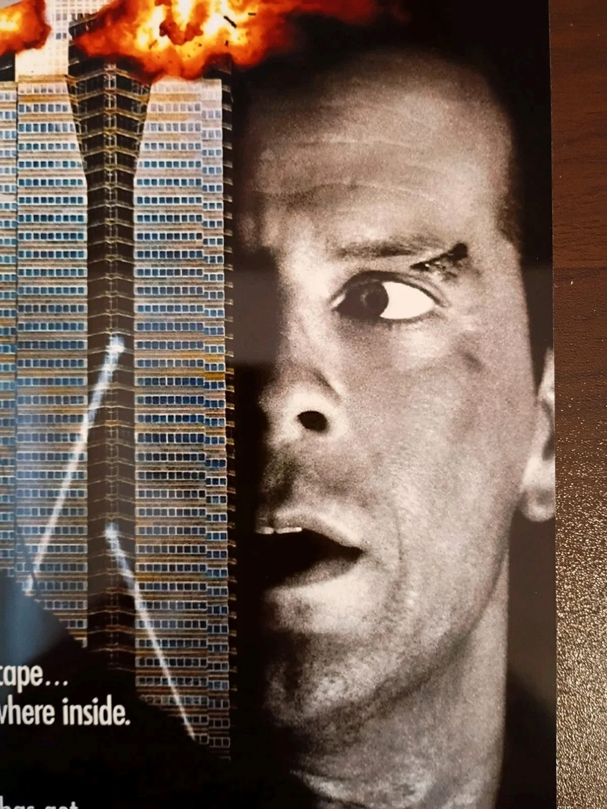 Bruce Willis — Die Hard Bruce Willis Signed 8x10 COA W/Matching Numbered Sticker, image 3
