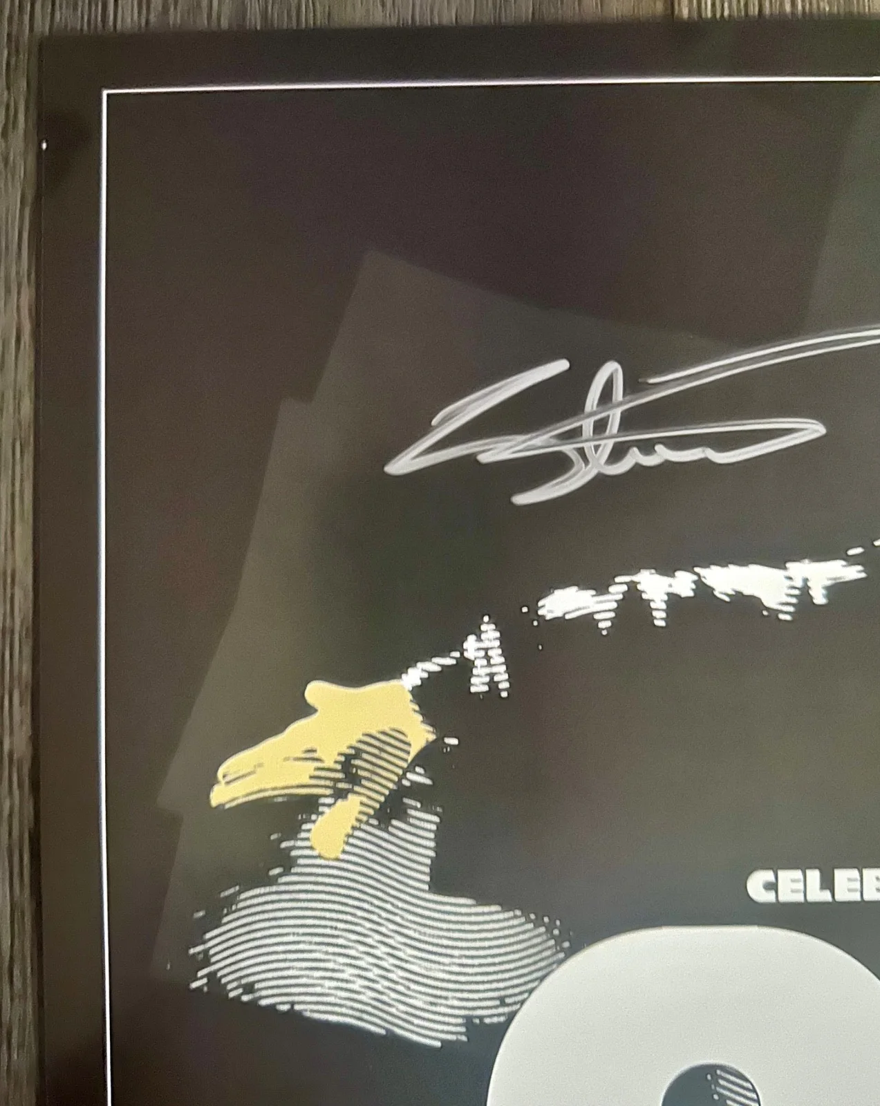 Our Lady Peace Autographed 18x24 20 years of Clumsy Poster, изображение 4
